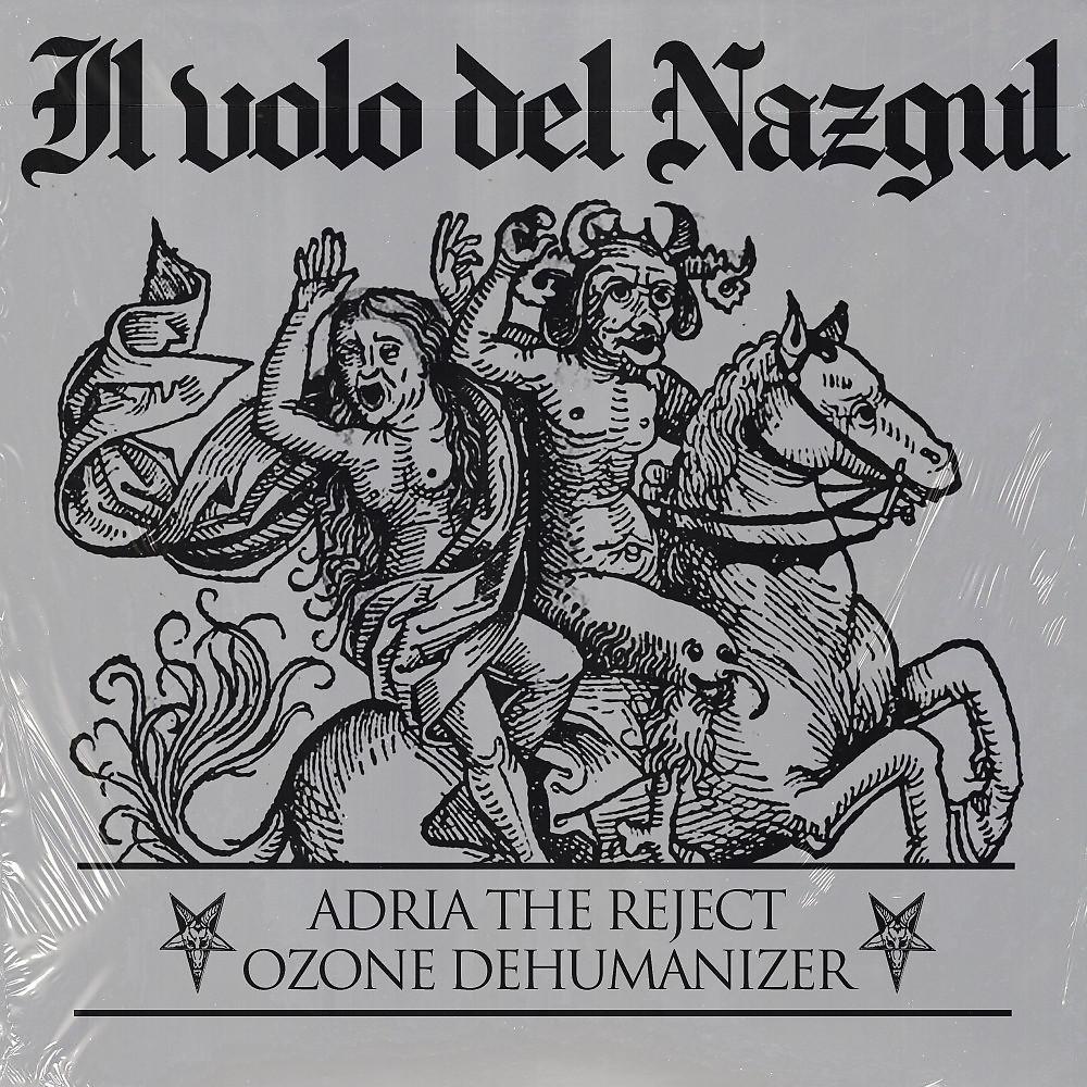 Постер альбома Il volo del nazgul