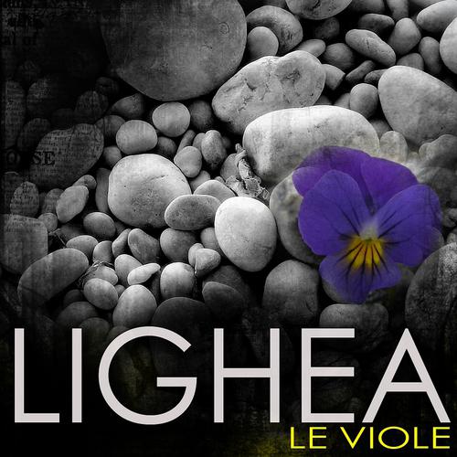 Постер альбома Le viole