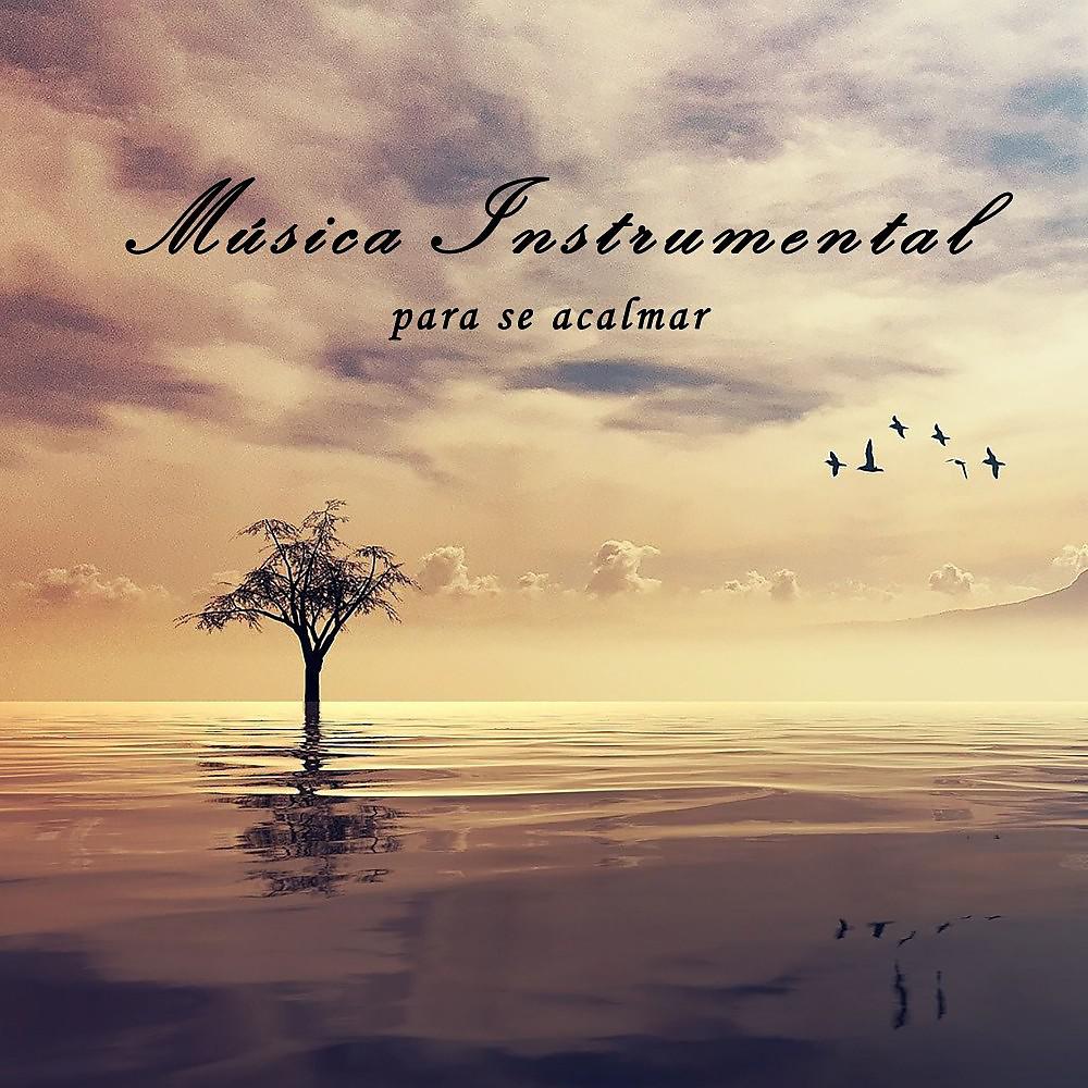 Постер альбома Música Instrumental para Se Acalmar