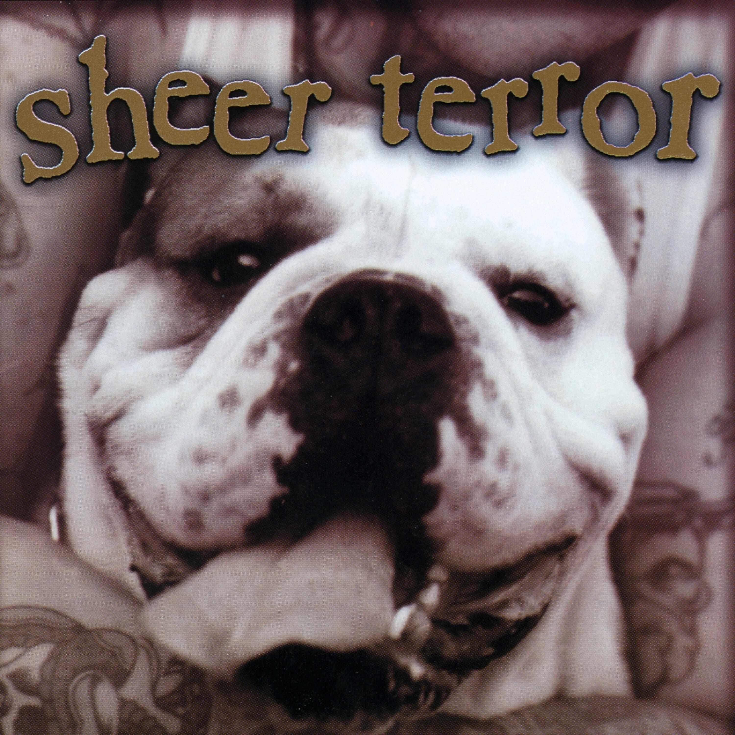Sheer Terror - Ashes, Ashes