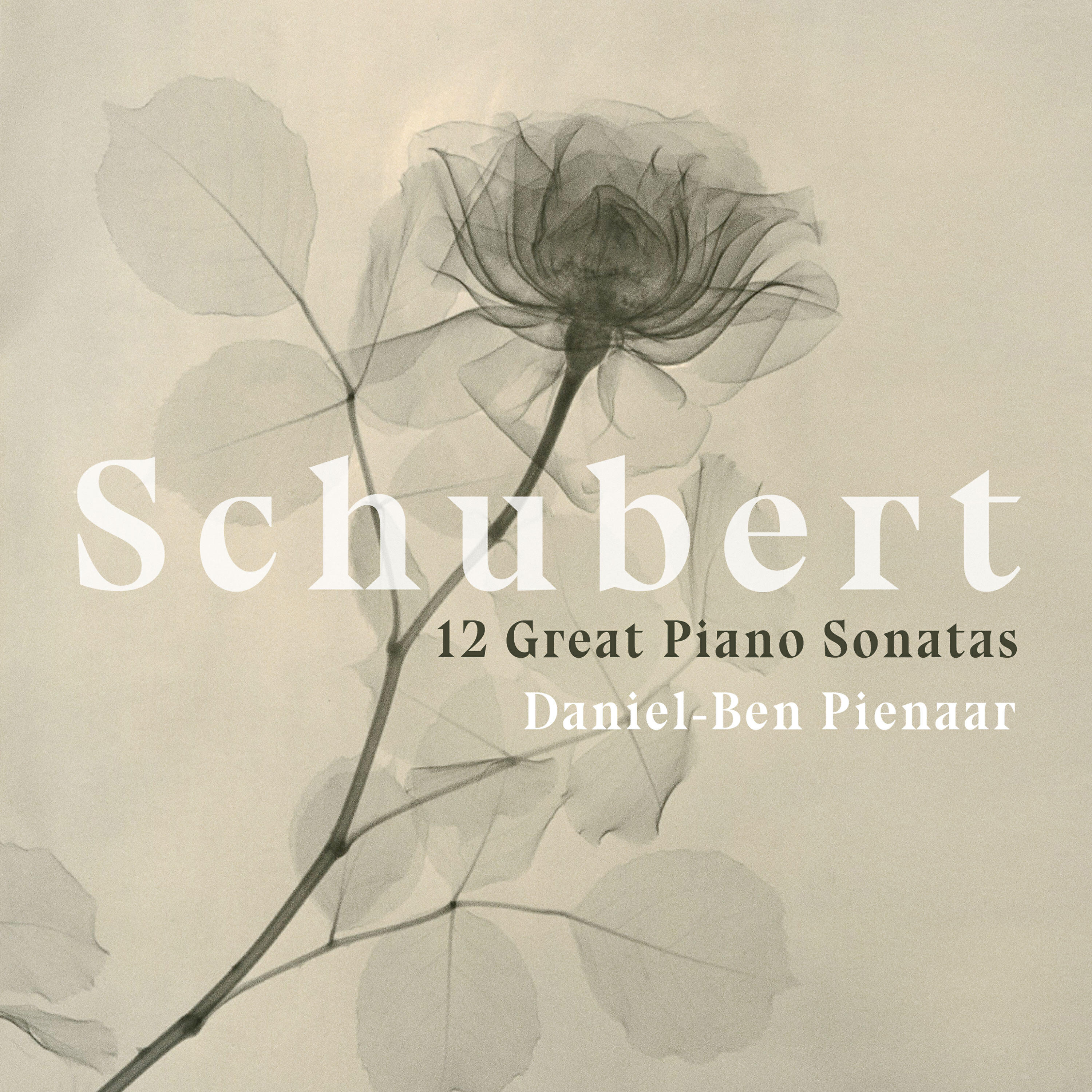 Daniel-Ben Pienaar - Piano Sonata in A Major, D. 664: I. Allegro moderato