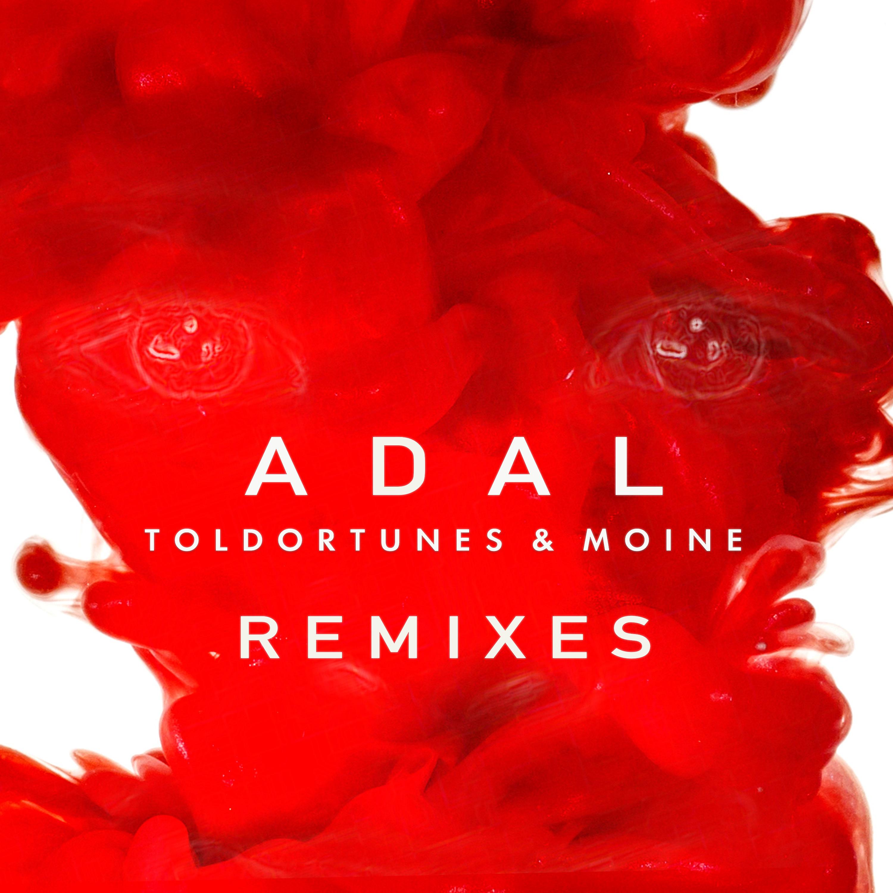 Постер альбома Adal (Remixes)
