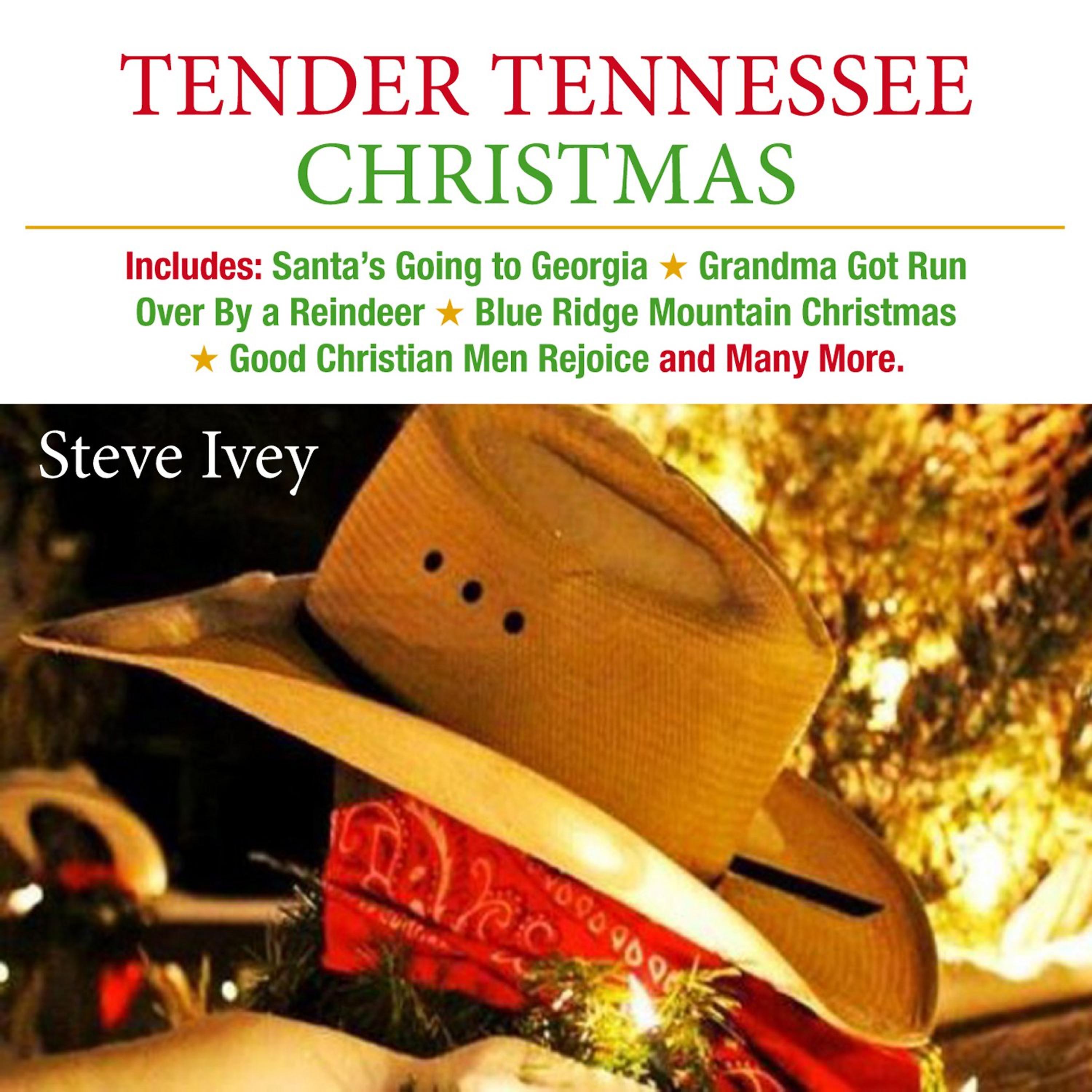 Постер альбома Tender Tennessee Christmas