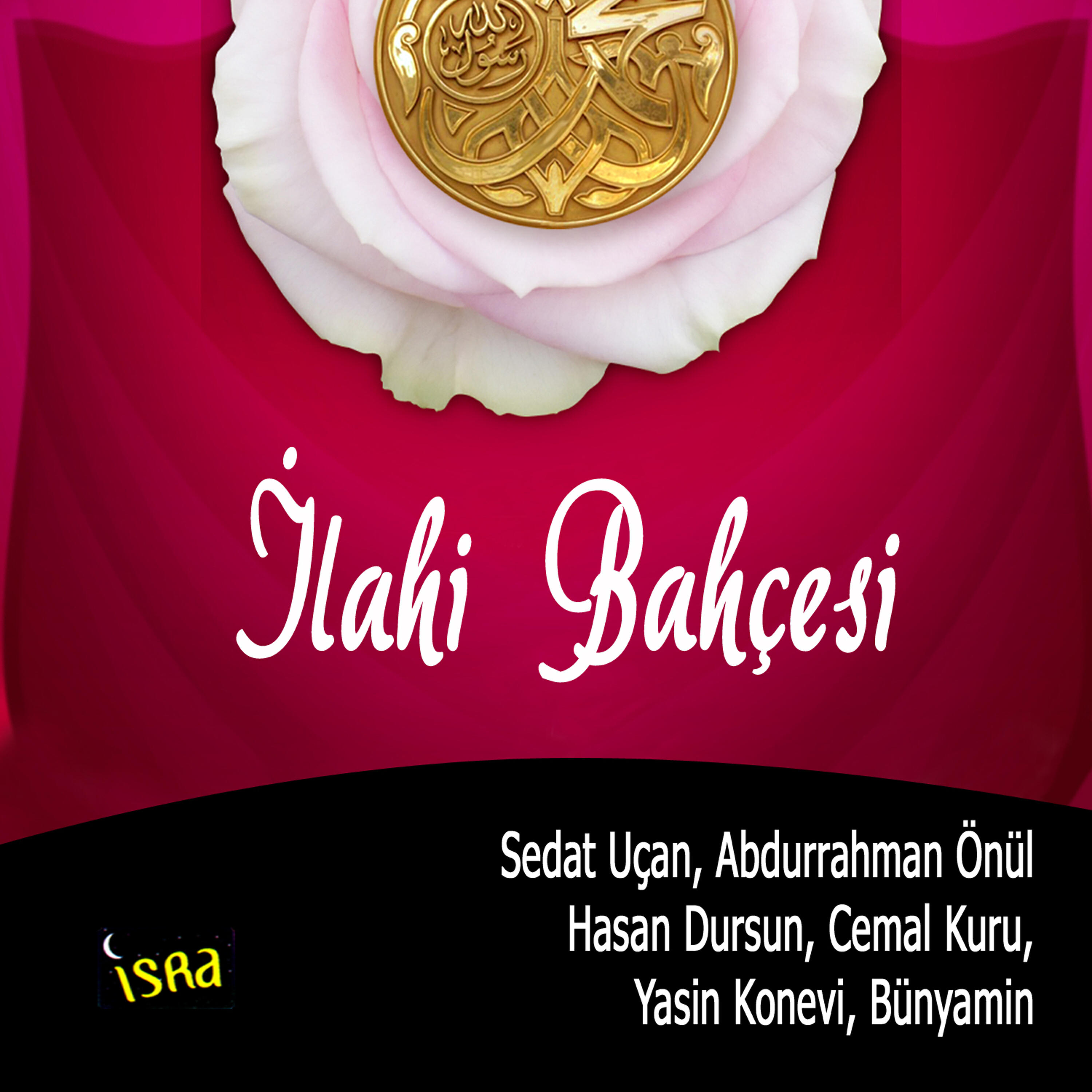 Yasin Konevi - Sahabeler