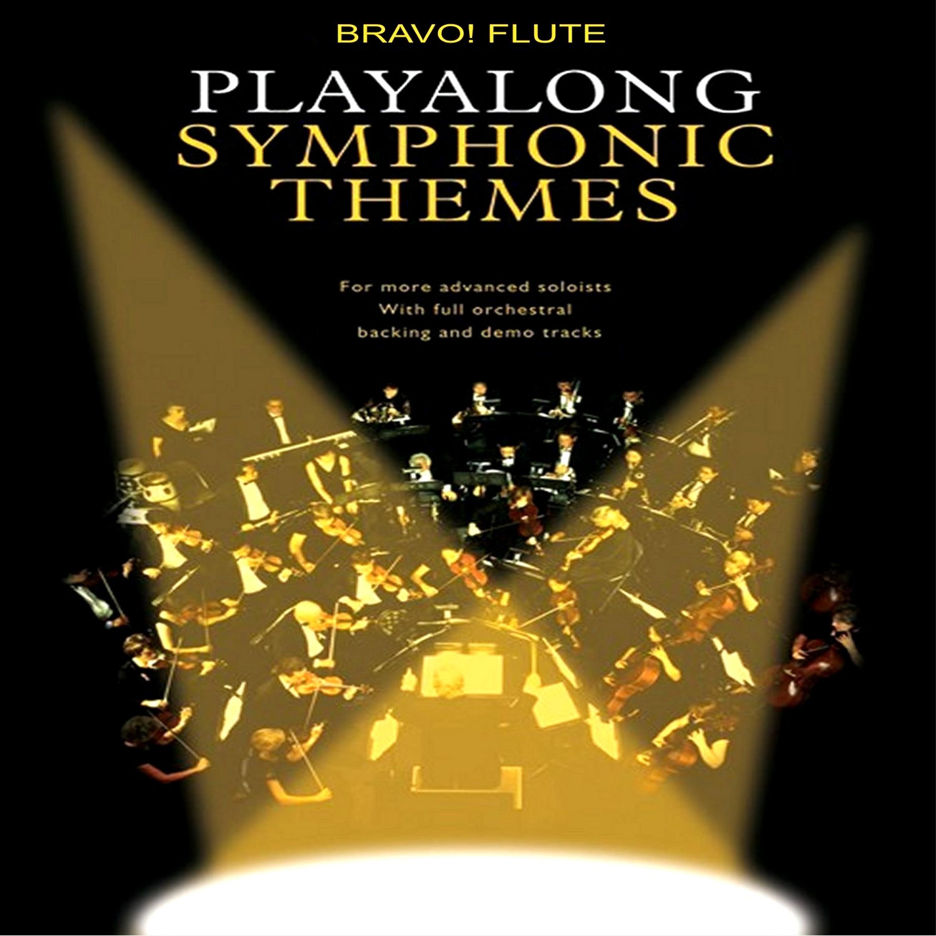 Постер альбома Bravo! Flute Playalong Symphonic Themes