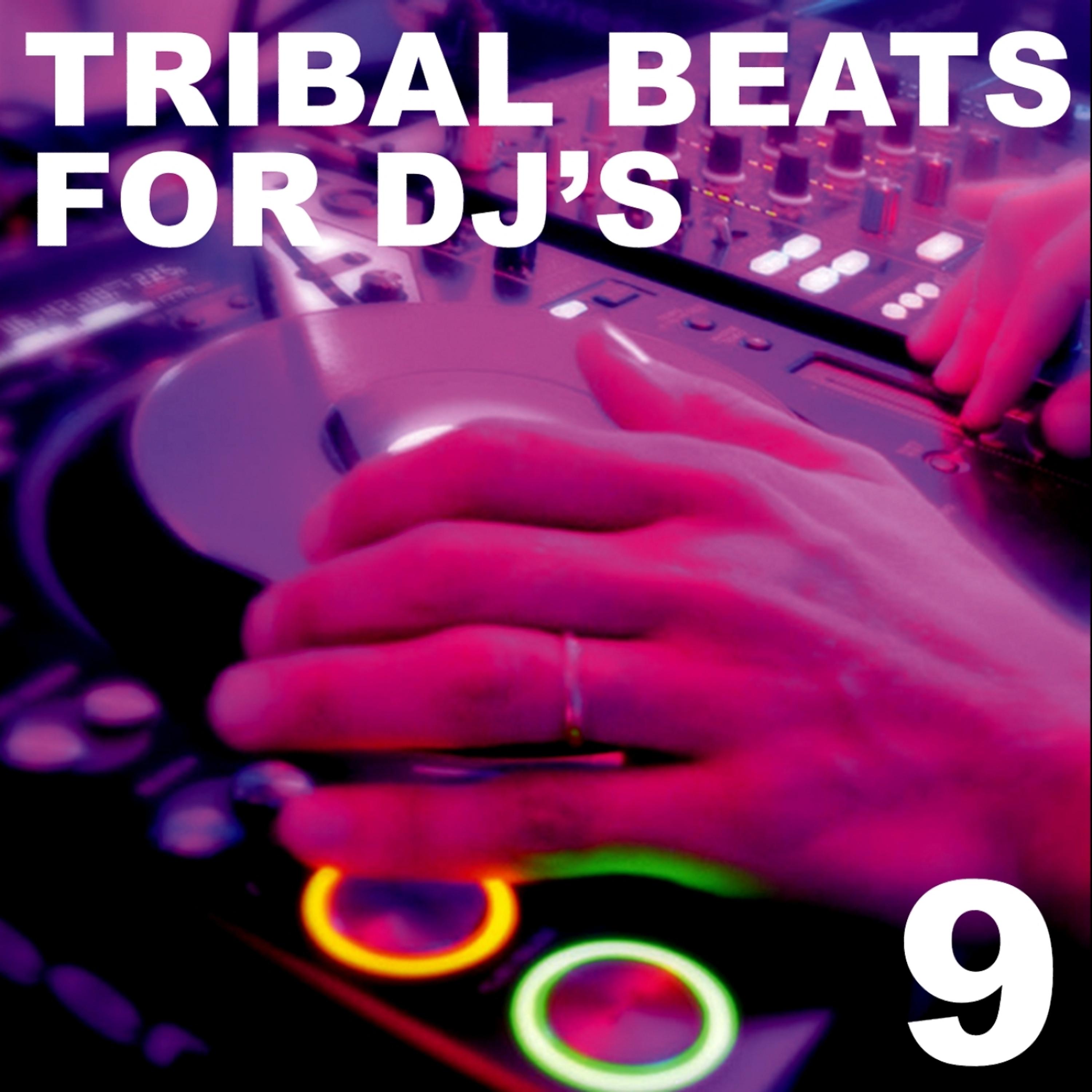 Постер альбома Tribal Beats for DJ's - Vol. 9