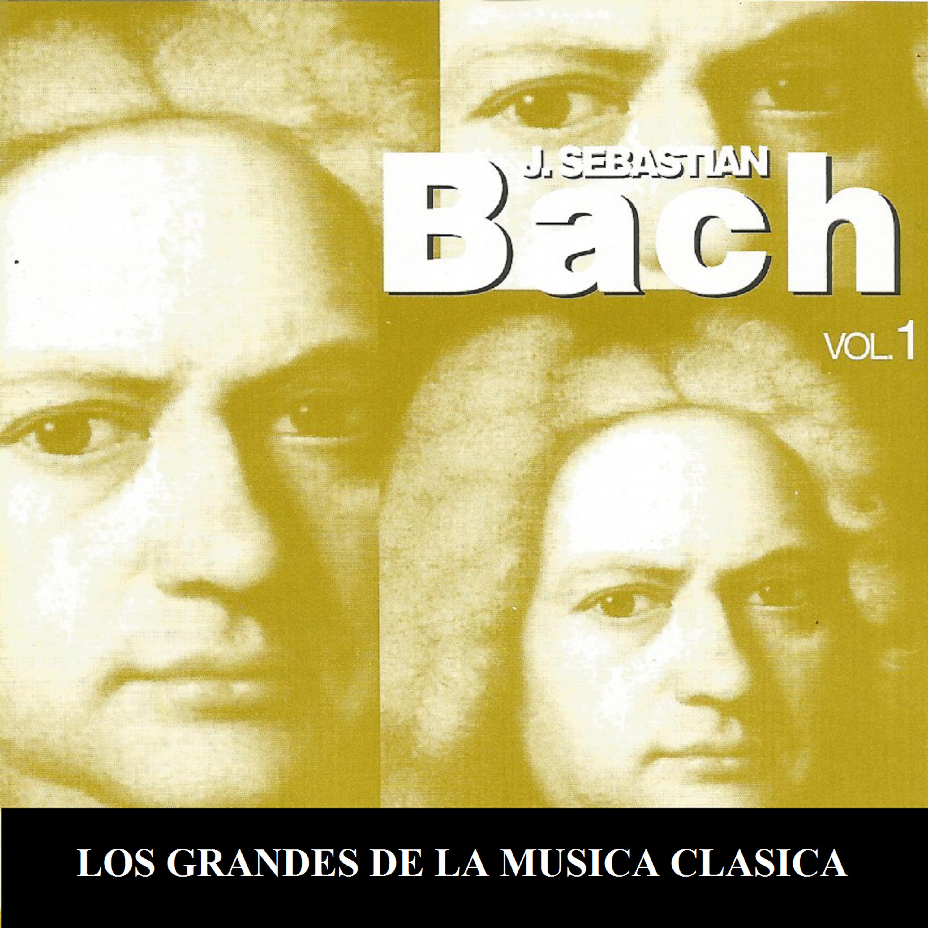 Southwest Studio Orchestra - Concerto for 4 Harpsichords in A Minor, BWV 1065: III. Allegro