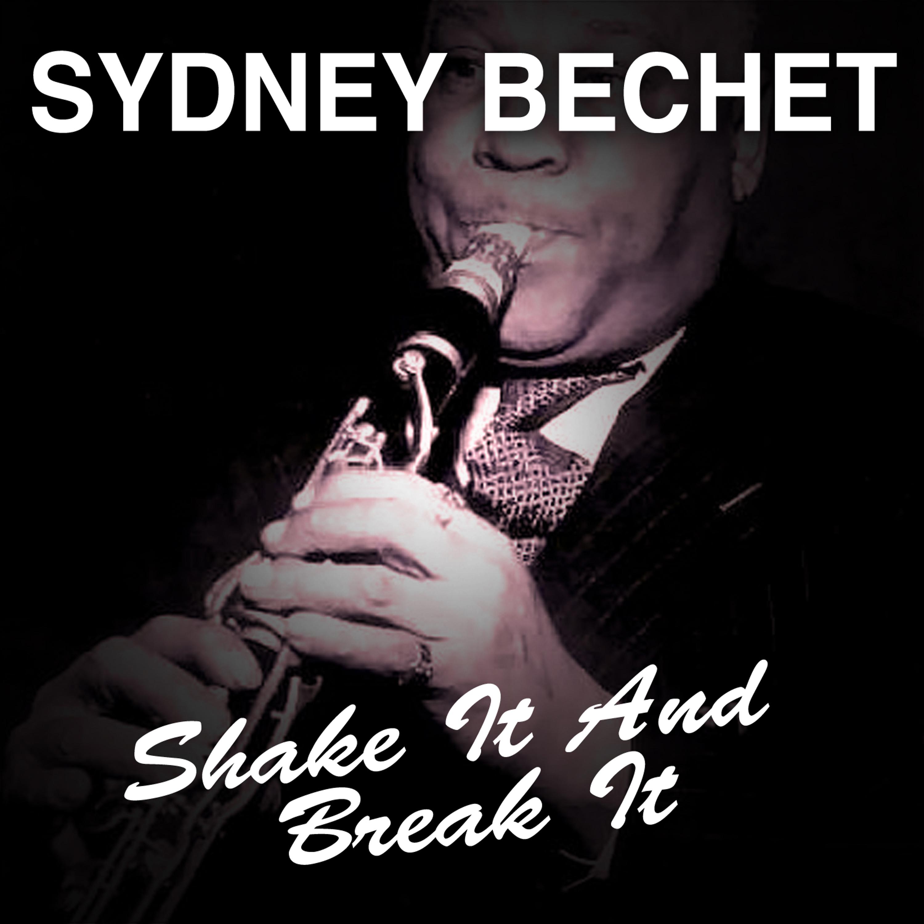 Постер альбома Shake It and Break It