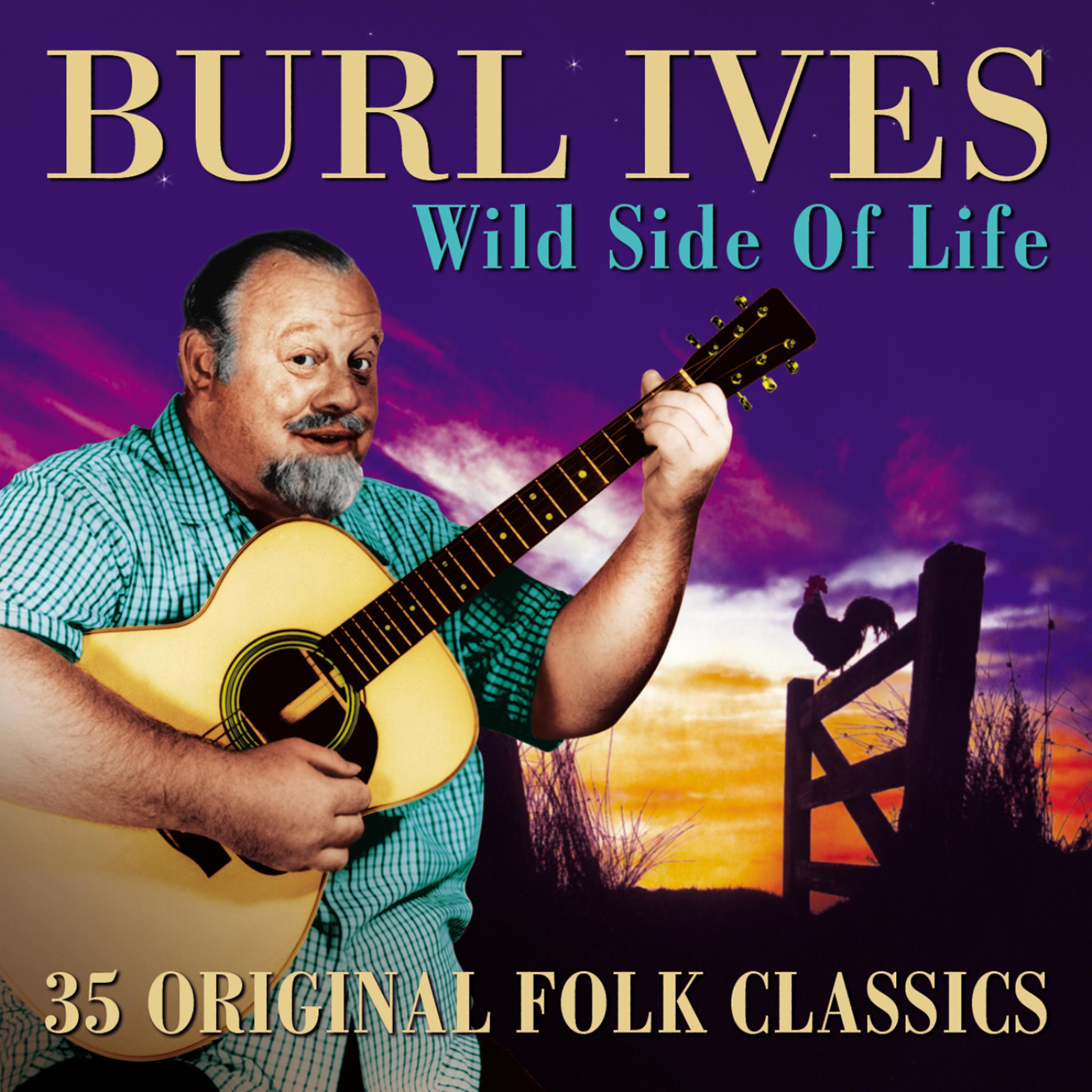 Постер альбома The Wild Side of Life: 35 Original Folk Classics