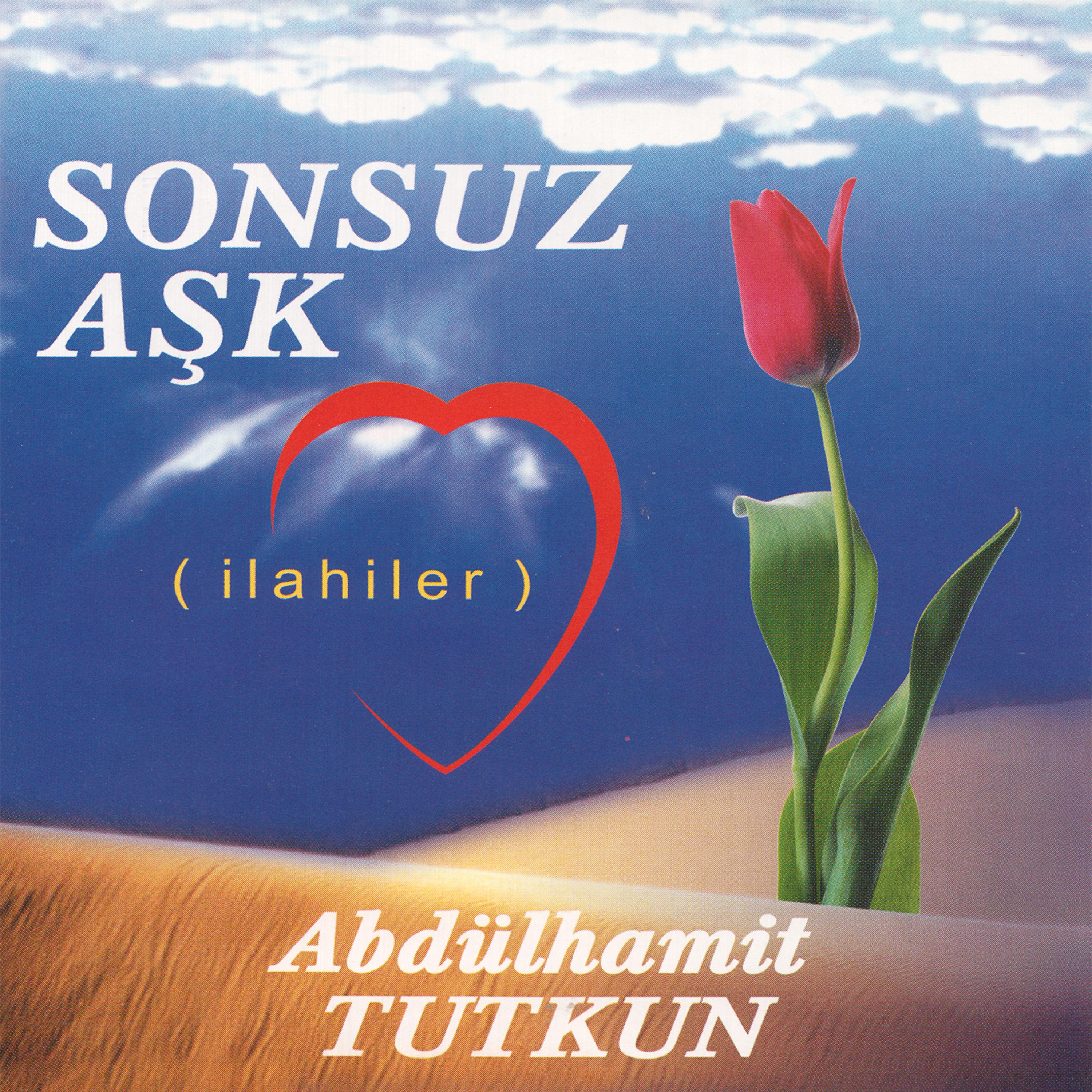 Постер альбома Sonsuz Aşk