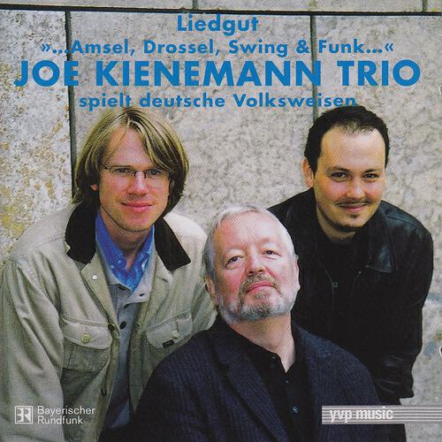 Joe Kienemann Trio - Bunt sind schon die Wälder