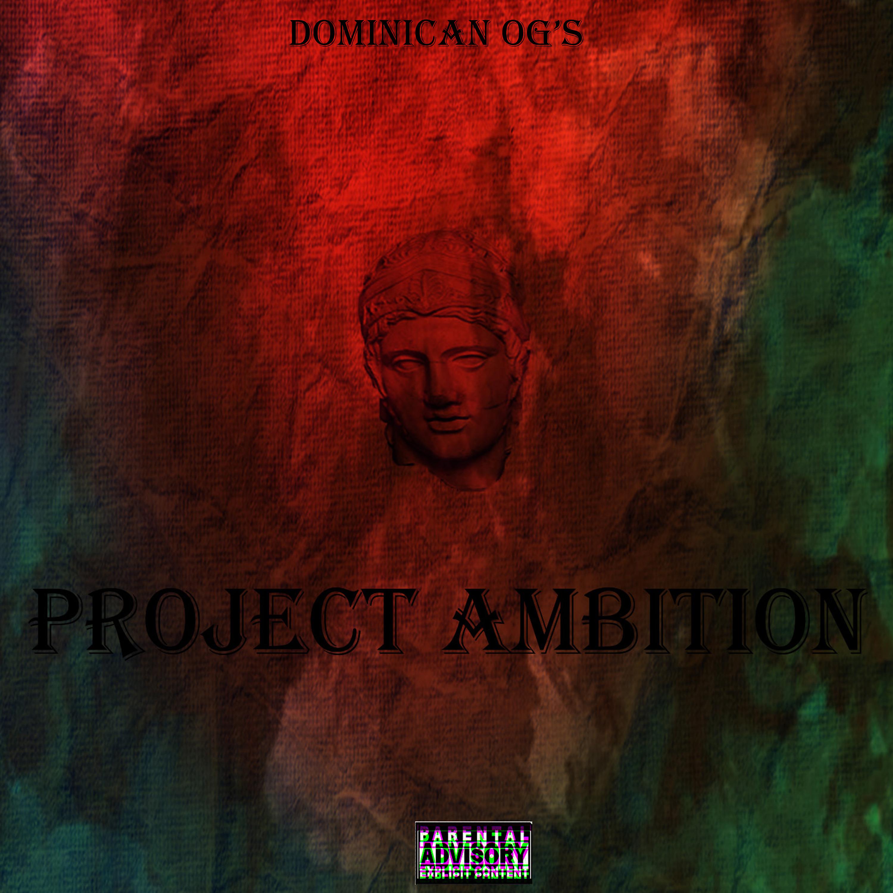 Постер альбома Project Ambition