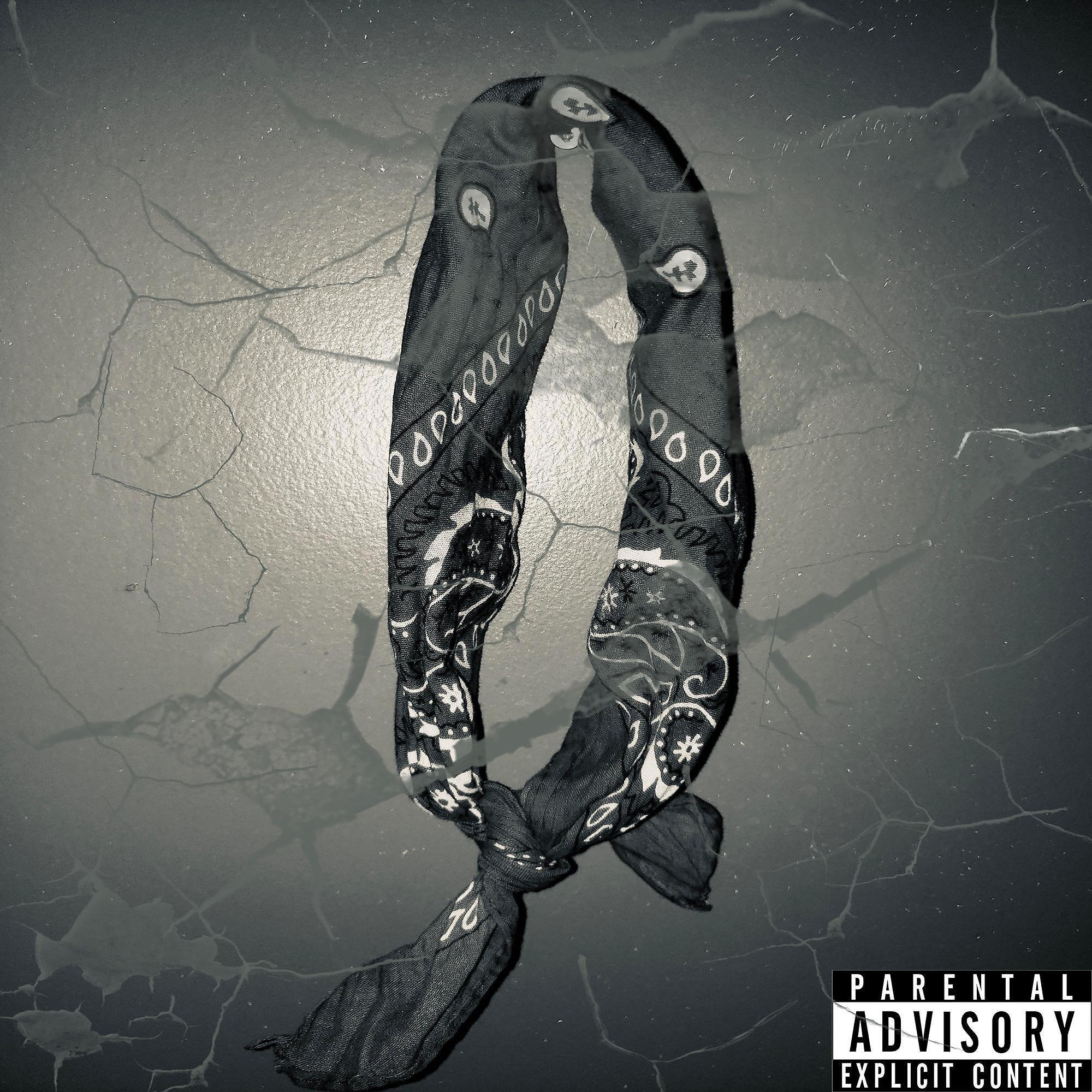 Phlight - Kanvas