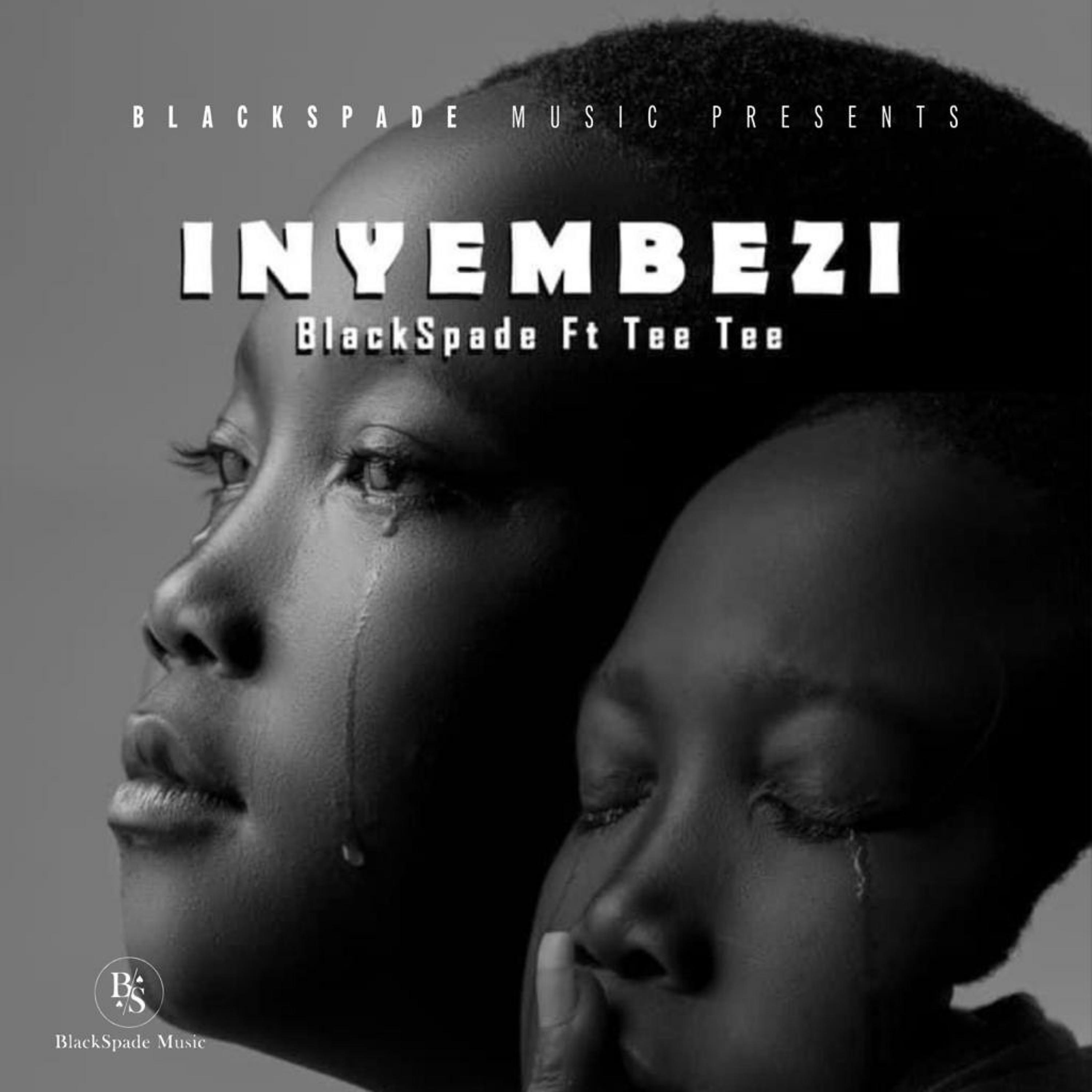 Постер альбома Inyembezi