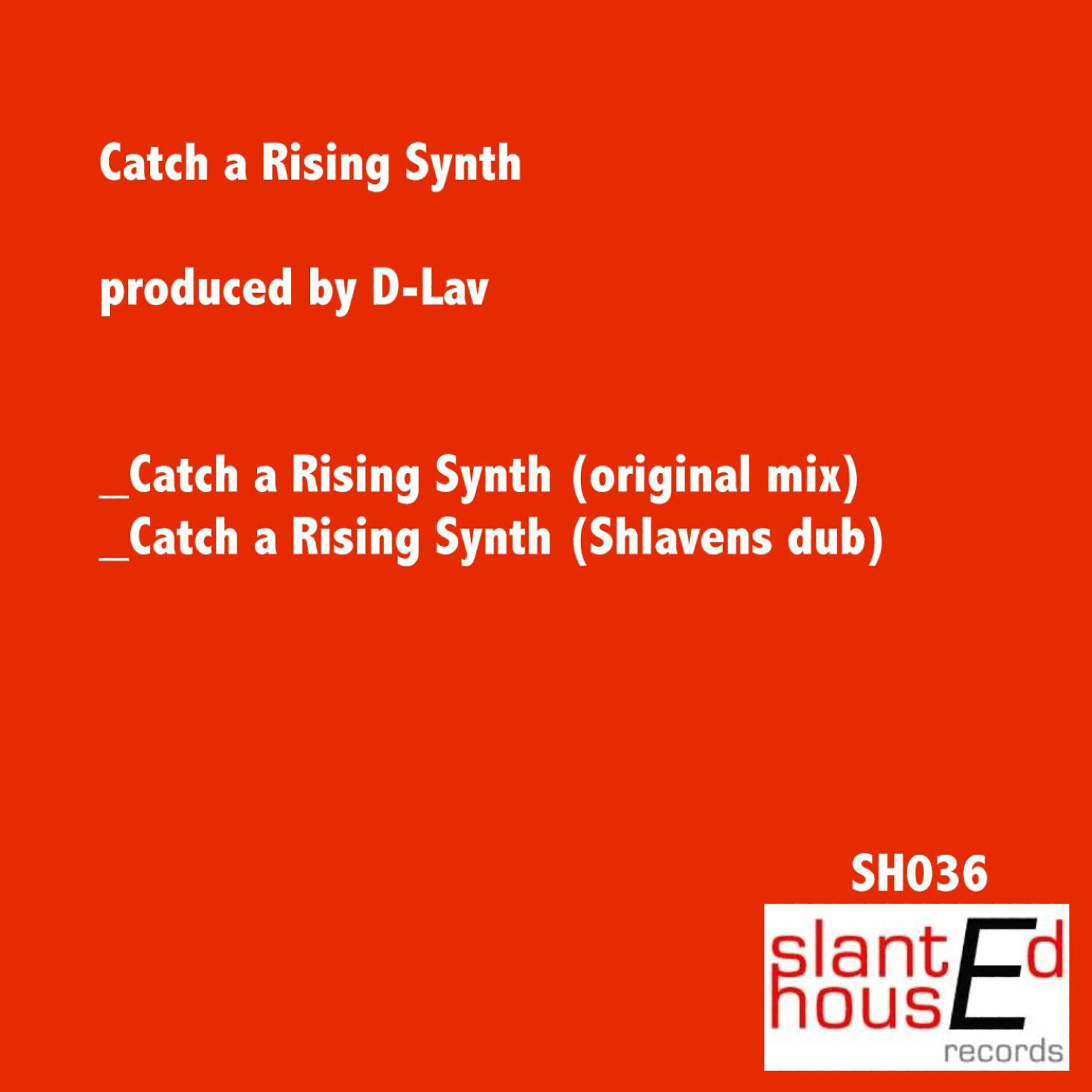 D-Lav - Catch A Rising Synth (original)
