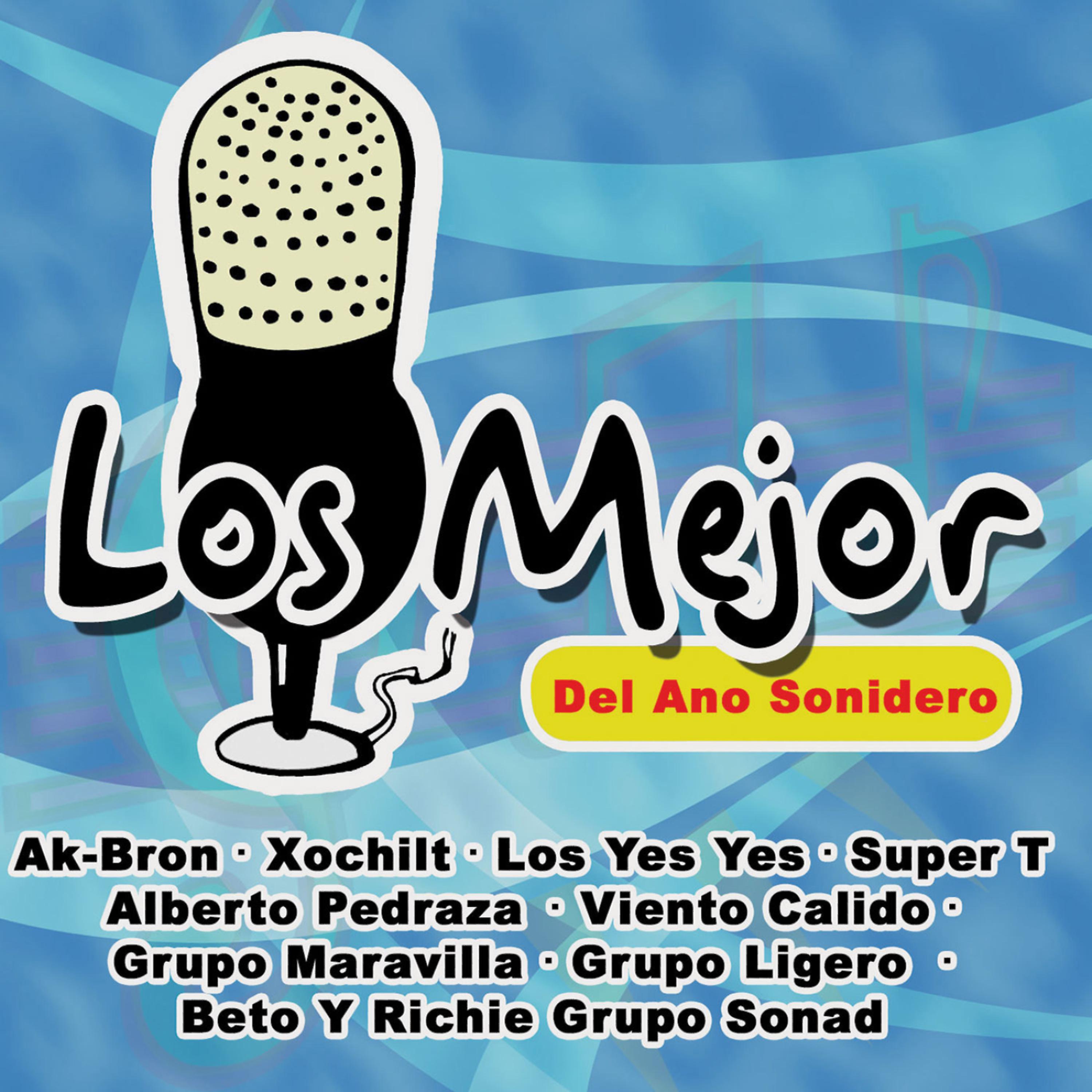 Постер альбома Los Mejor del Ano Sonidero