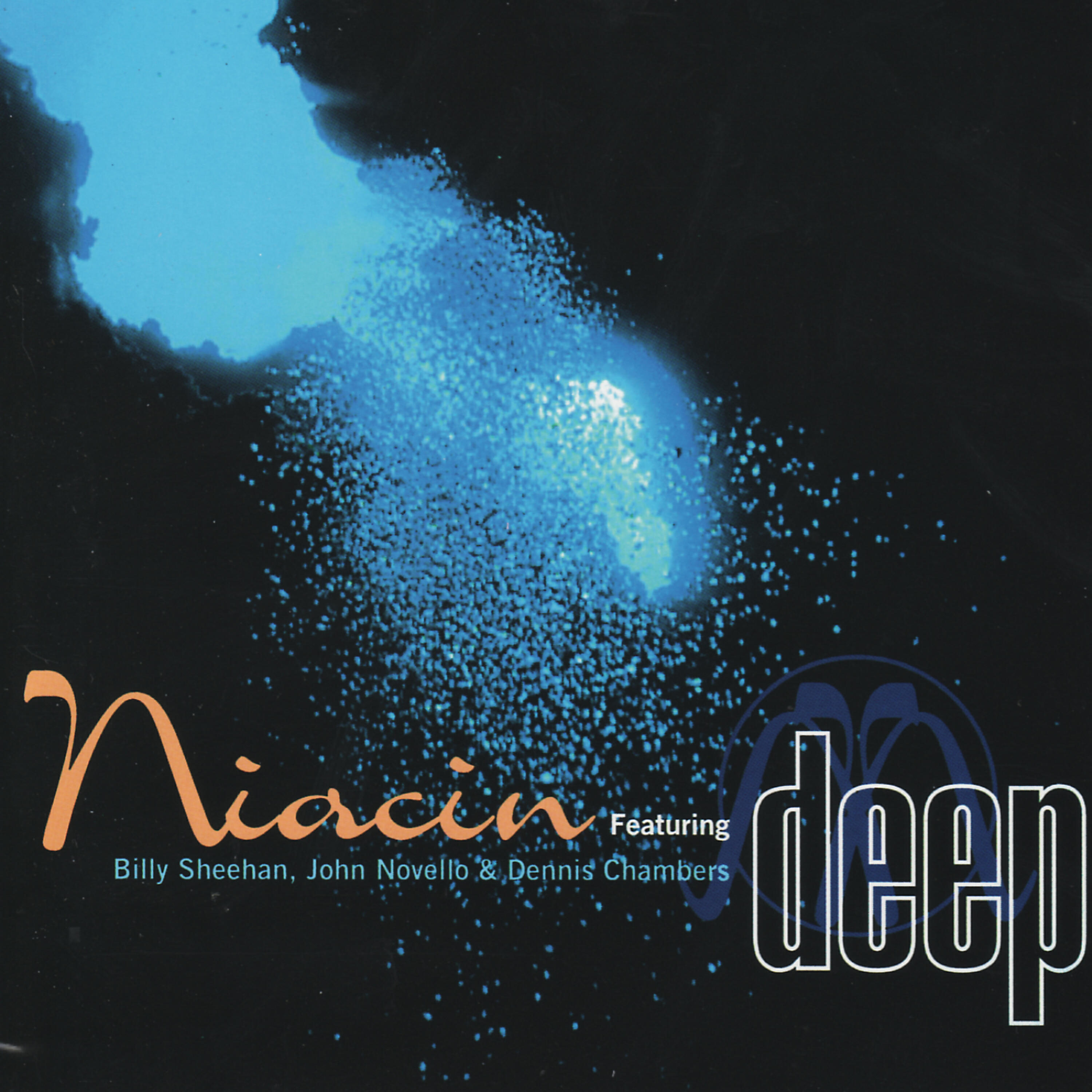 Niacin - Stompin' Ground