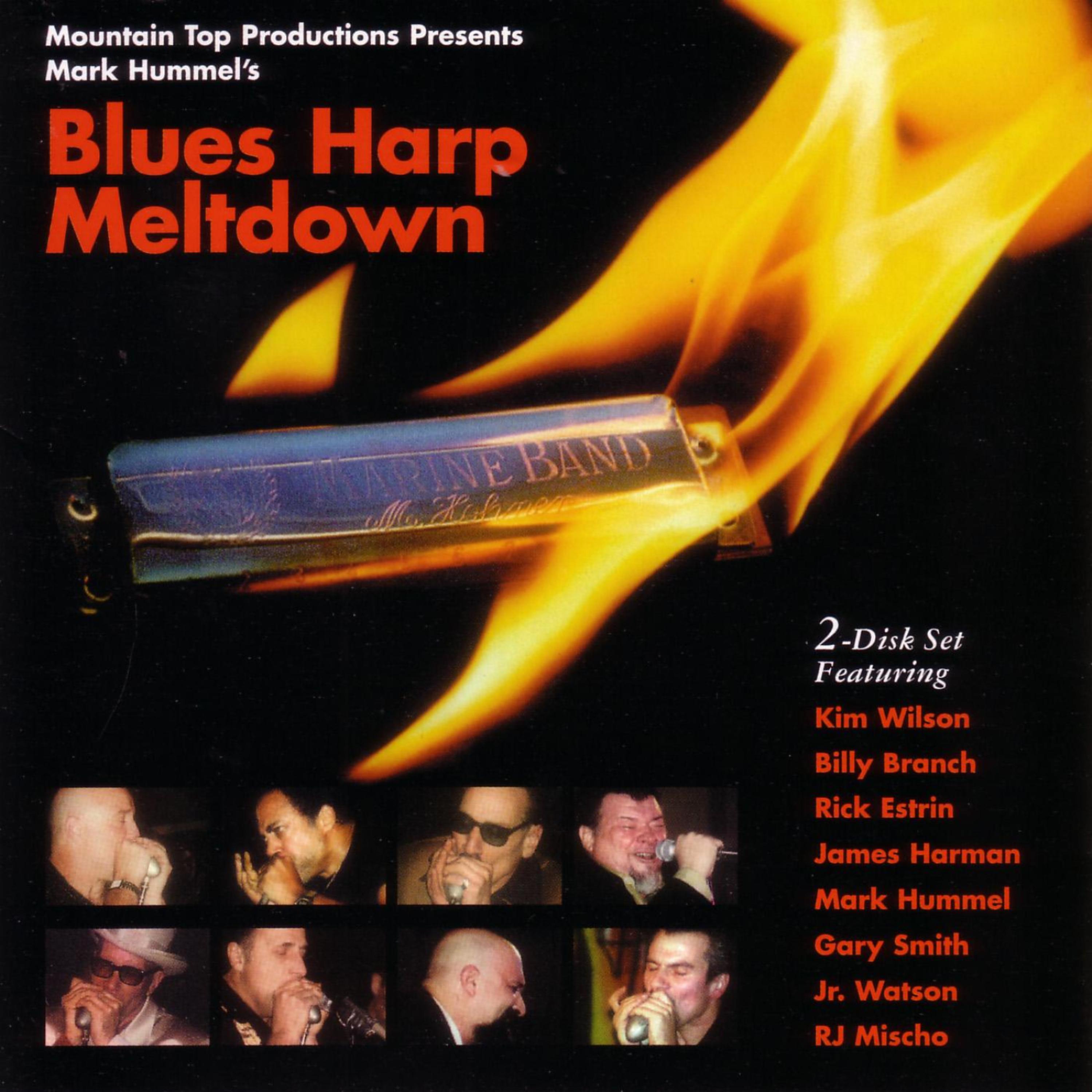 Постер альбома Blues Harp Meltdown