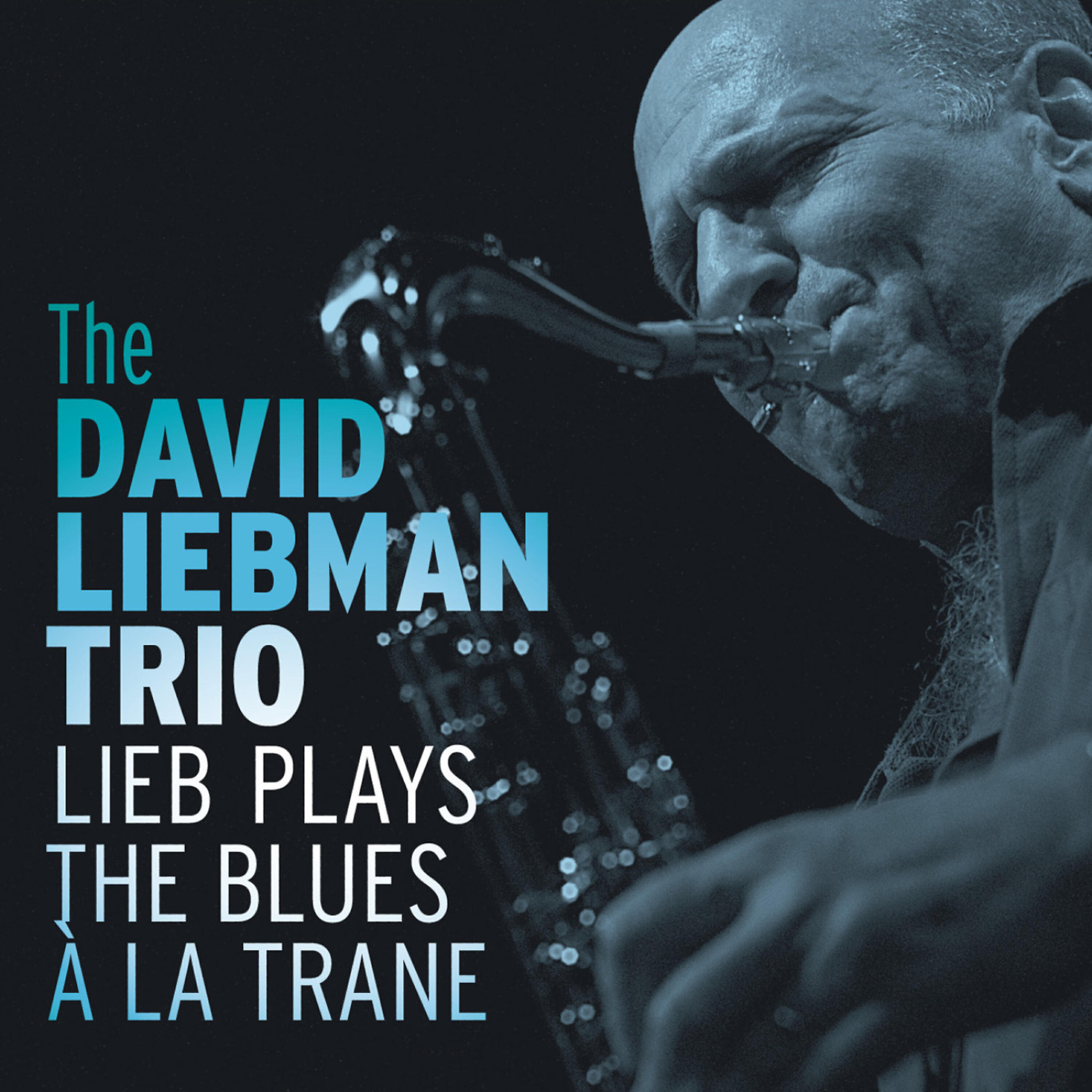 David Liebman - Village Blues