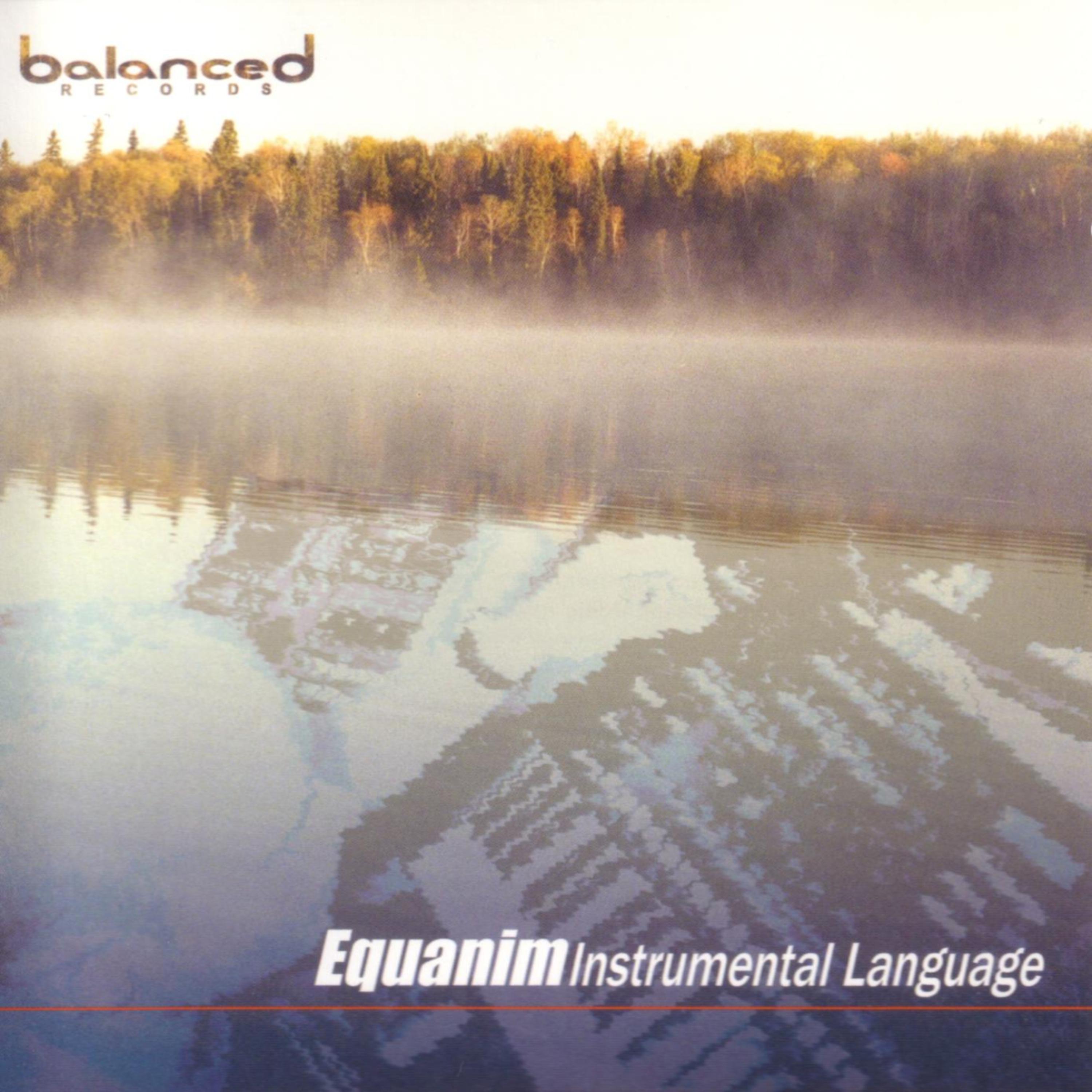 Постер альбома Instrumental Language