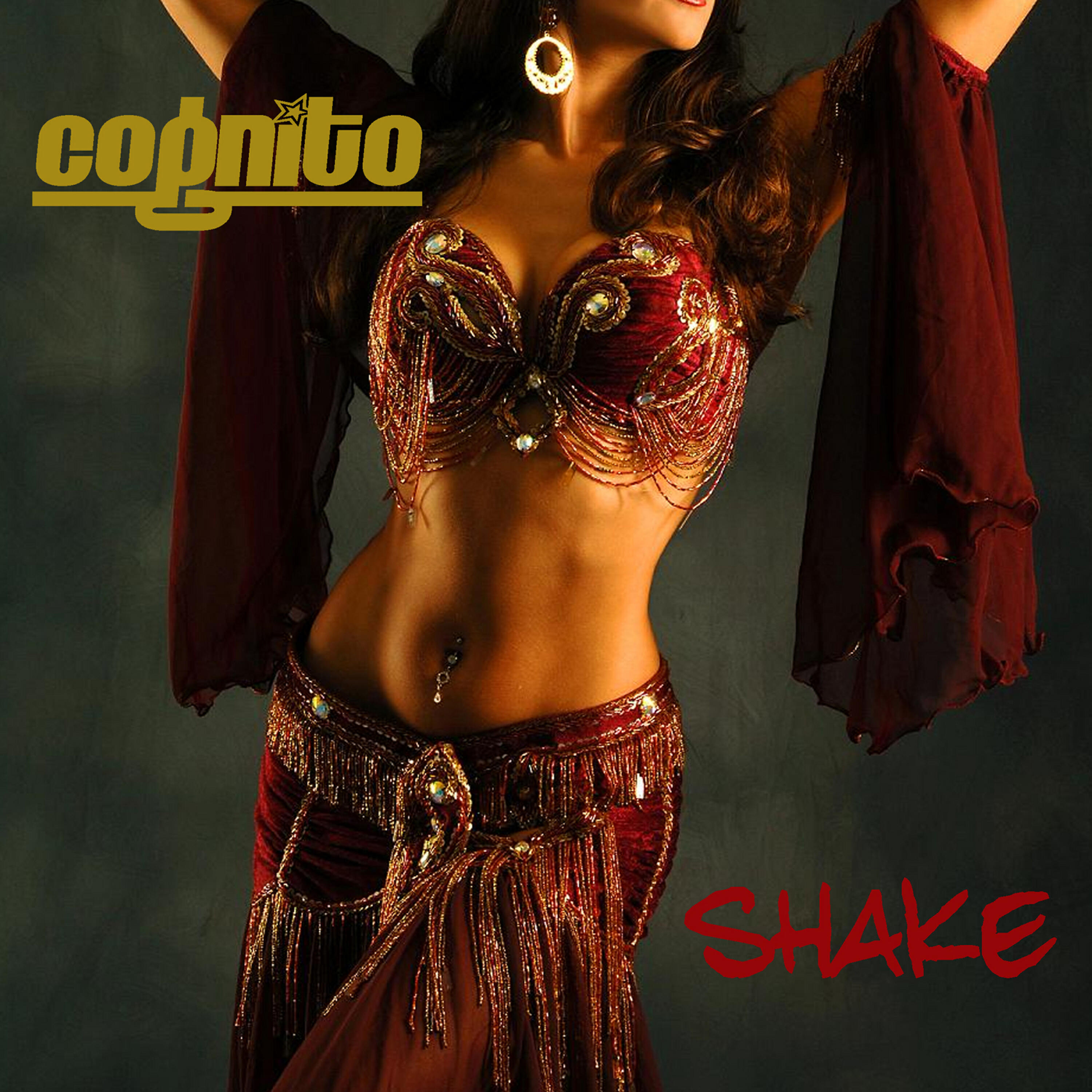 Cognito - Shake