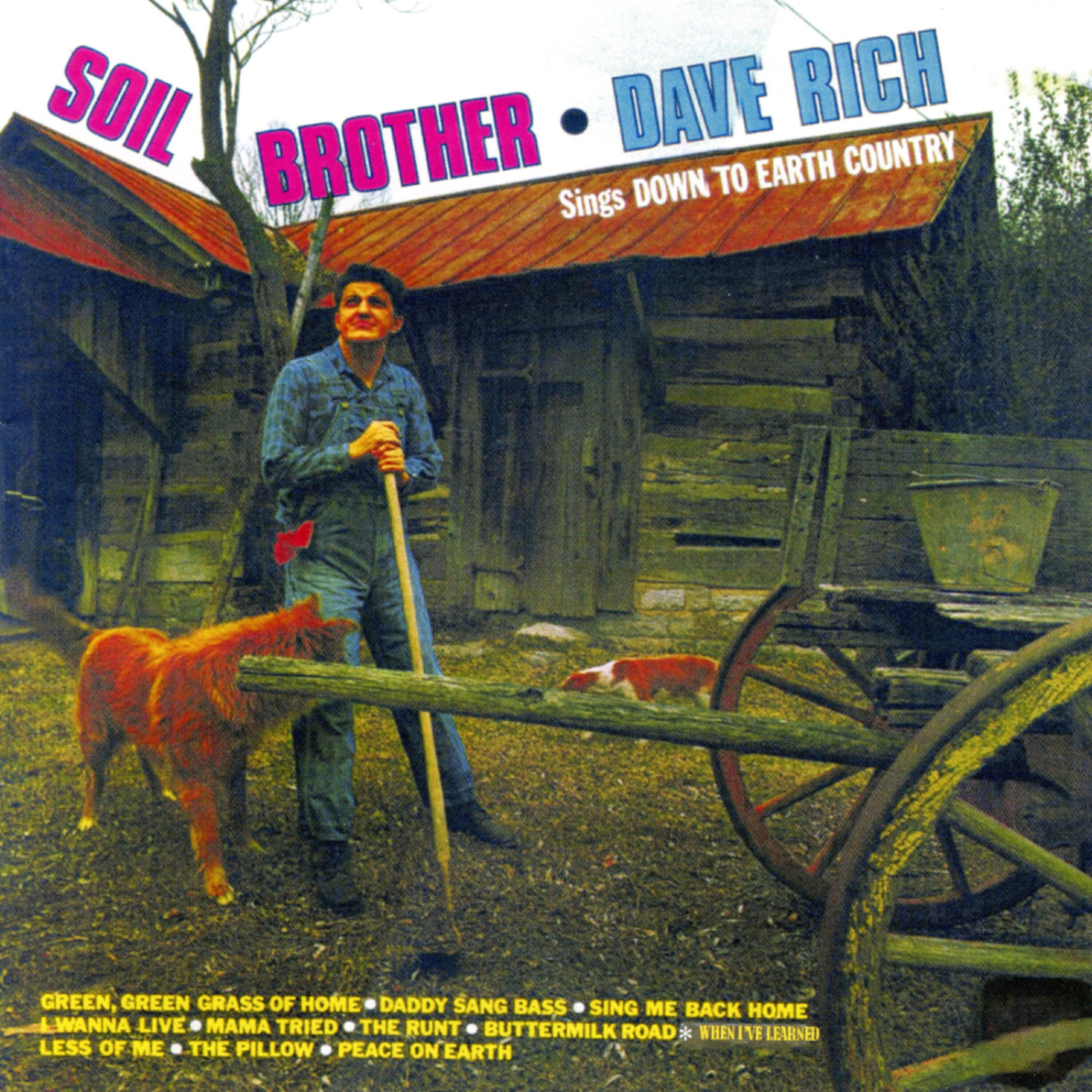 Dave Rich - Sing Me Back Home