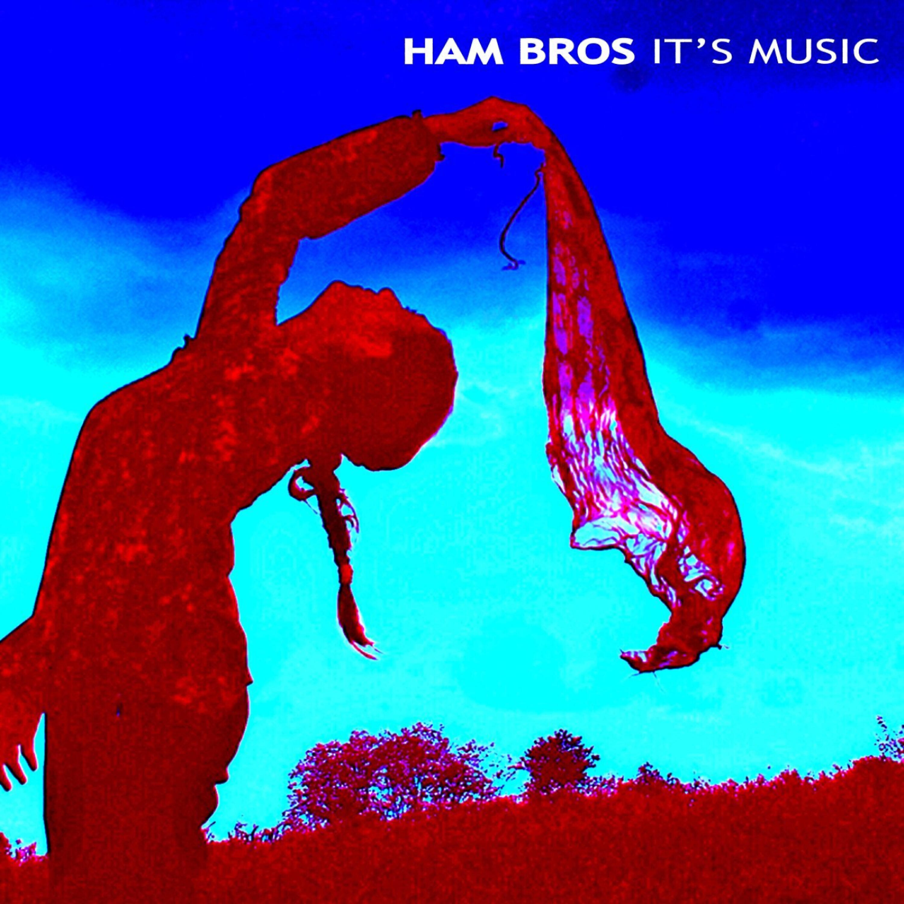 Ham Bros. - Party on the Bayou