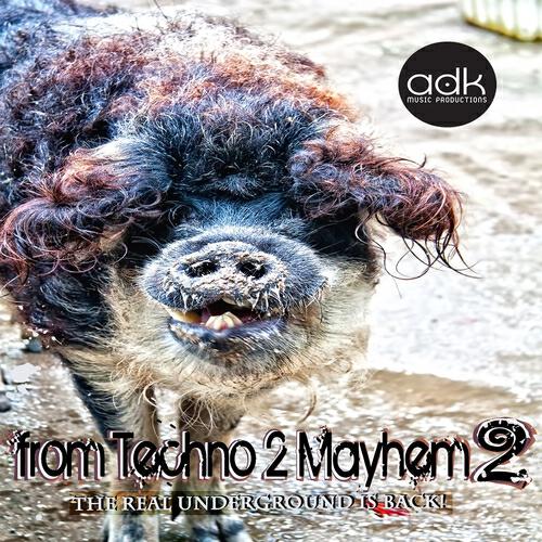 Mayhem Man - I Wanna Give U the Mayhem