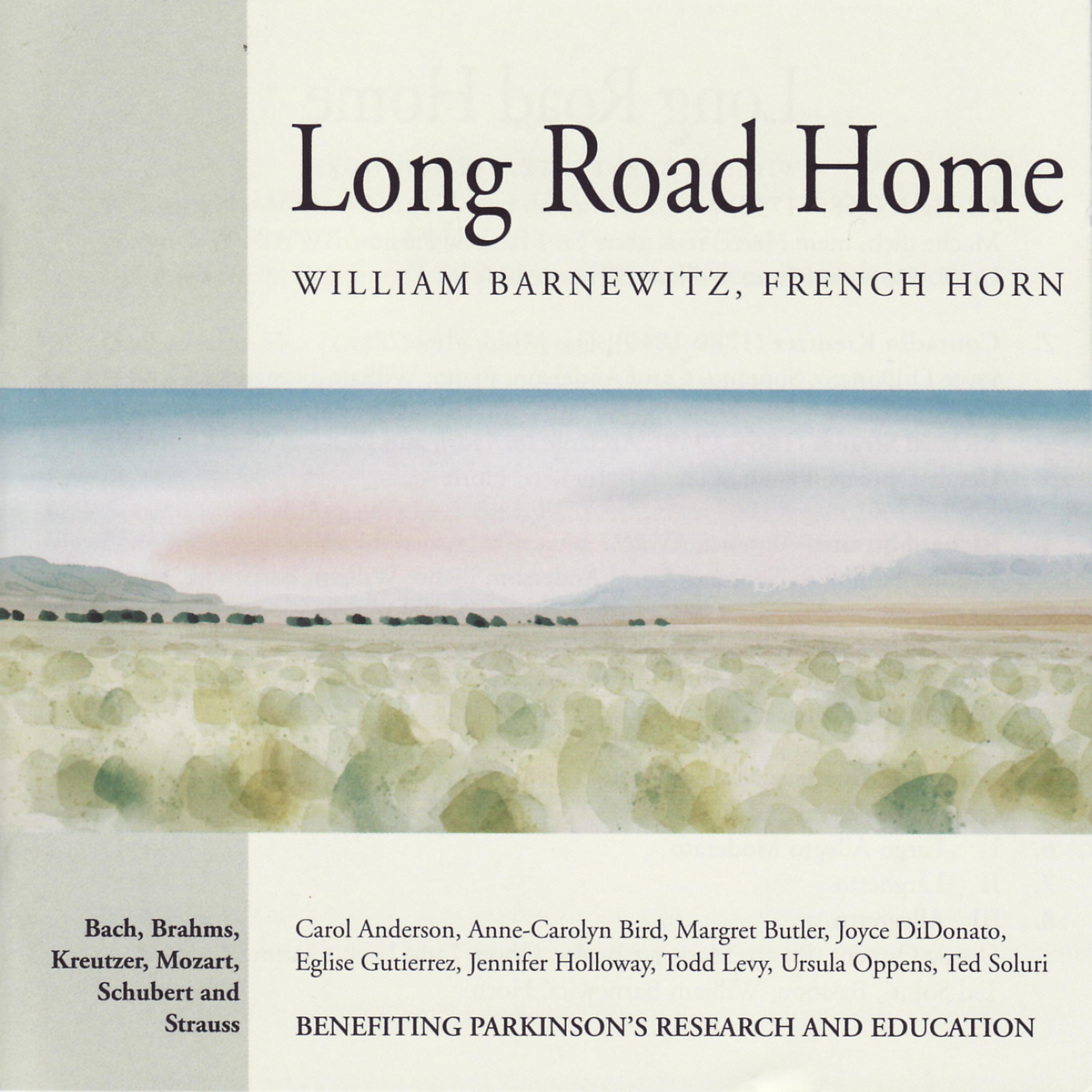 Постер альбома Bach, Kruetzer, Strauss, Shubert, Mozart, Brahms: Long Road Home