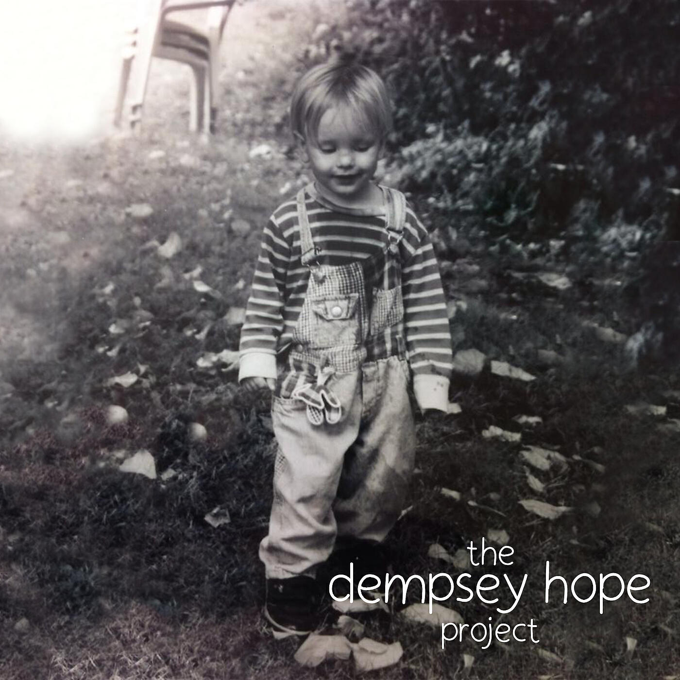 dempsey hope - elephant in the room