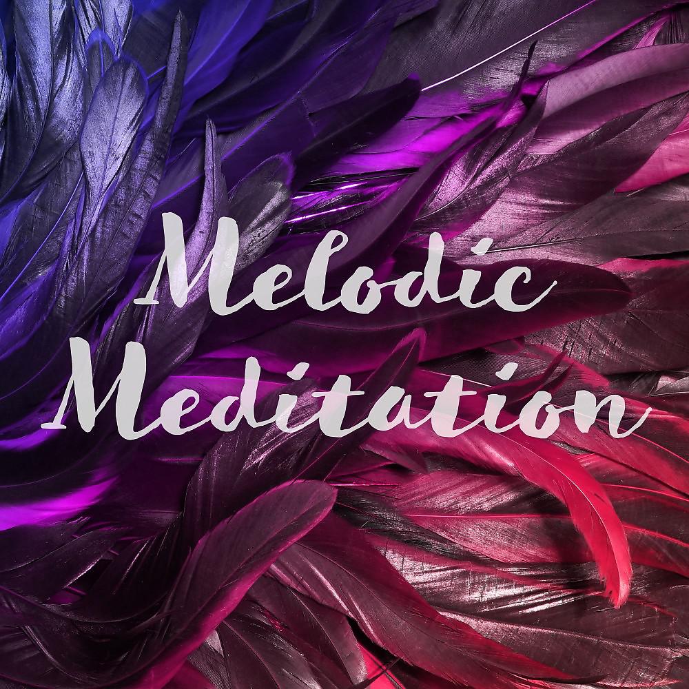 Постер альбома Melodic Meditation