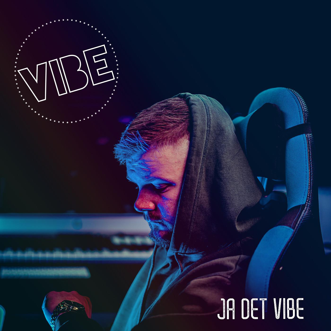 Постер альбома Ja Det Vibe