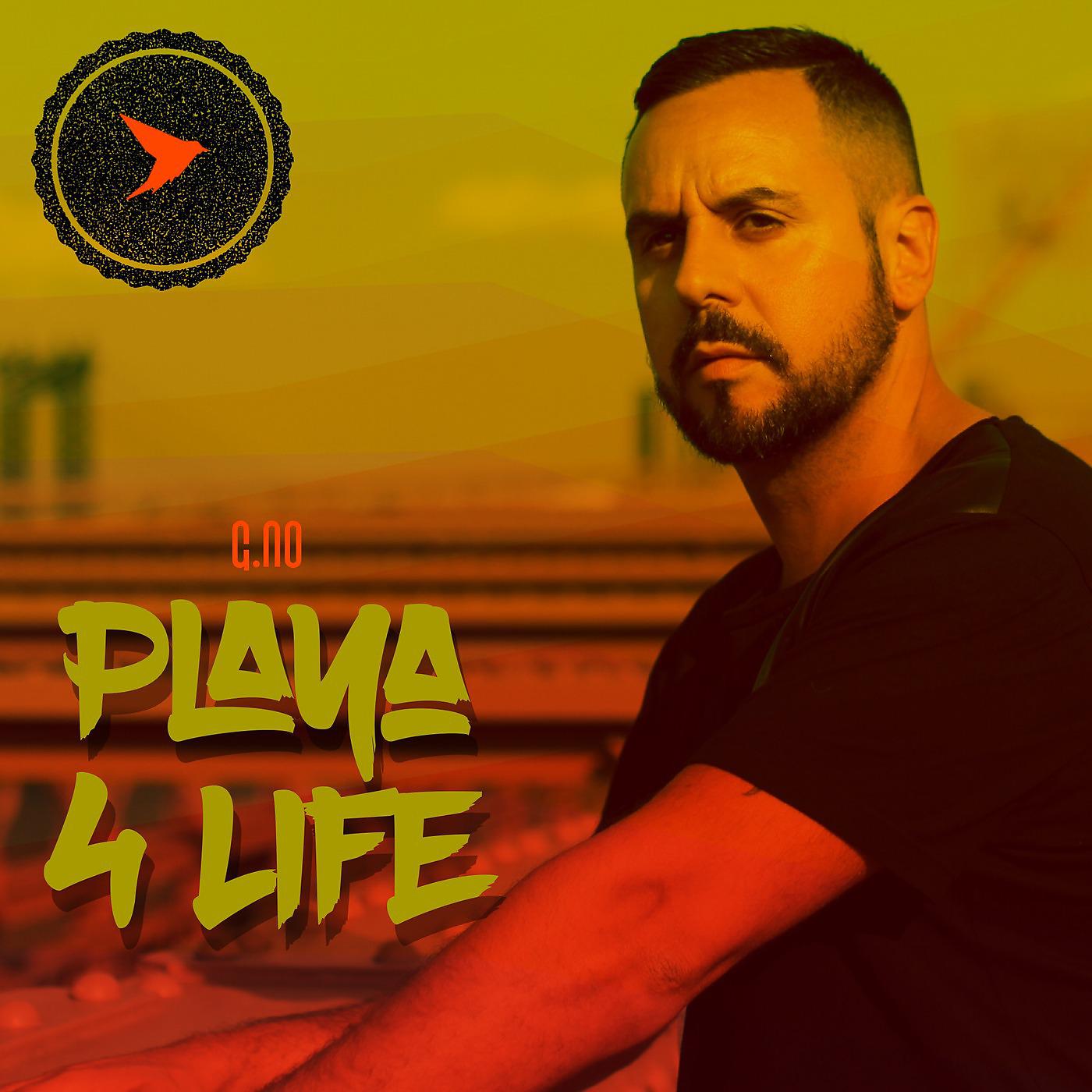 Постер альбома Playa 4 Life