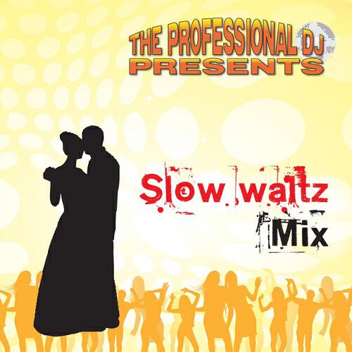 The Professional DJ - Slow Waltz Medley 2 (Sam Long Lie the Rivers You Are My Lady)
