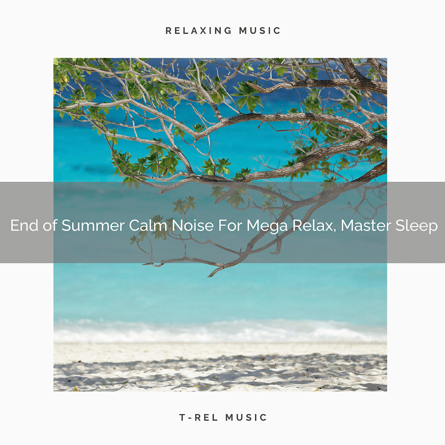Ocean Waves For Sleep - Winter Welcoming Best Noises For Gentle Relaxation, Master Sleep