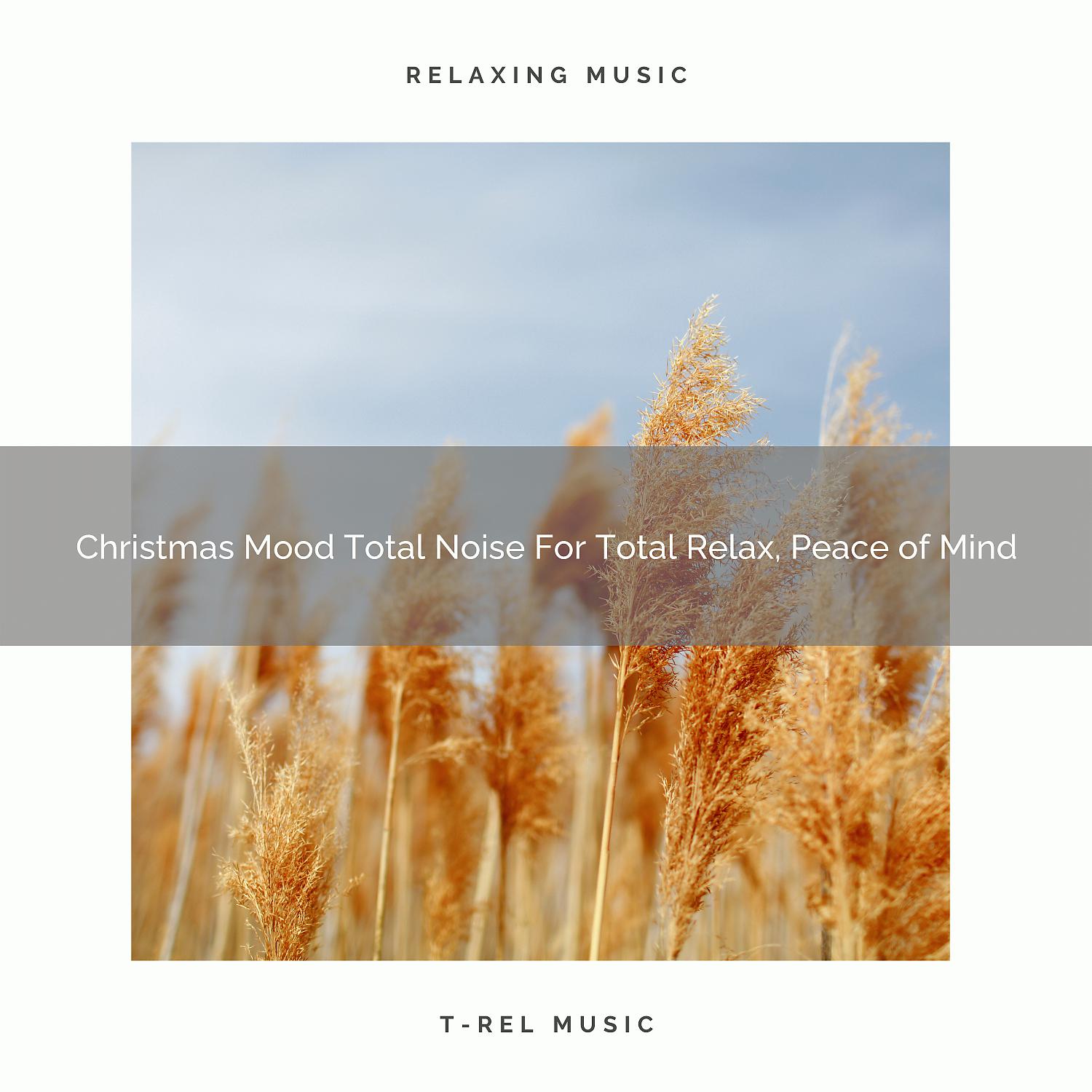 Постер альбома Christmas Mood Total Noise For Total Relax, Peace of Mind