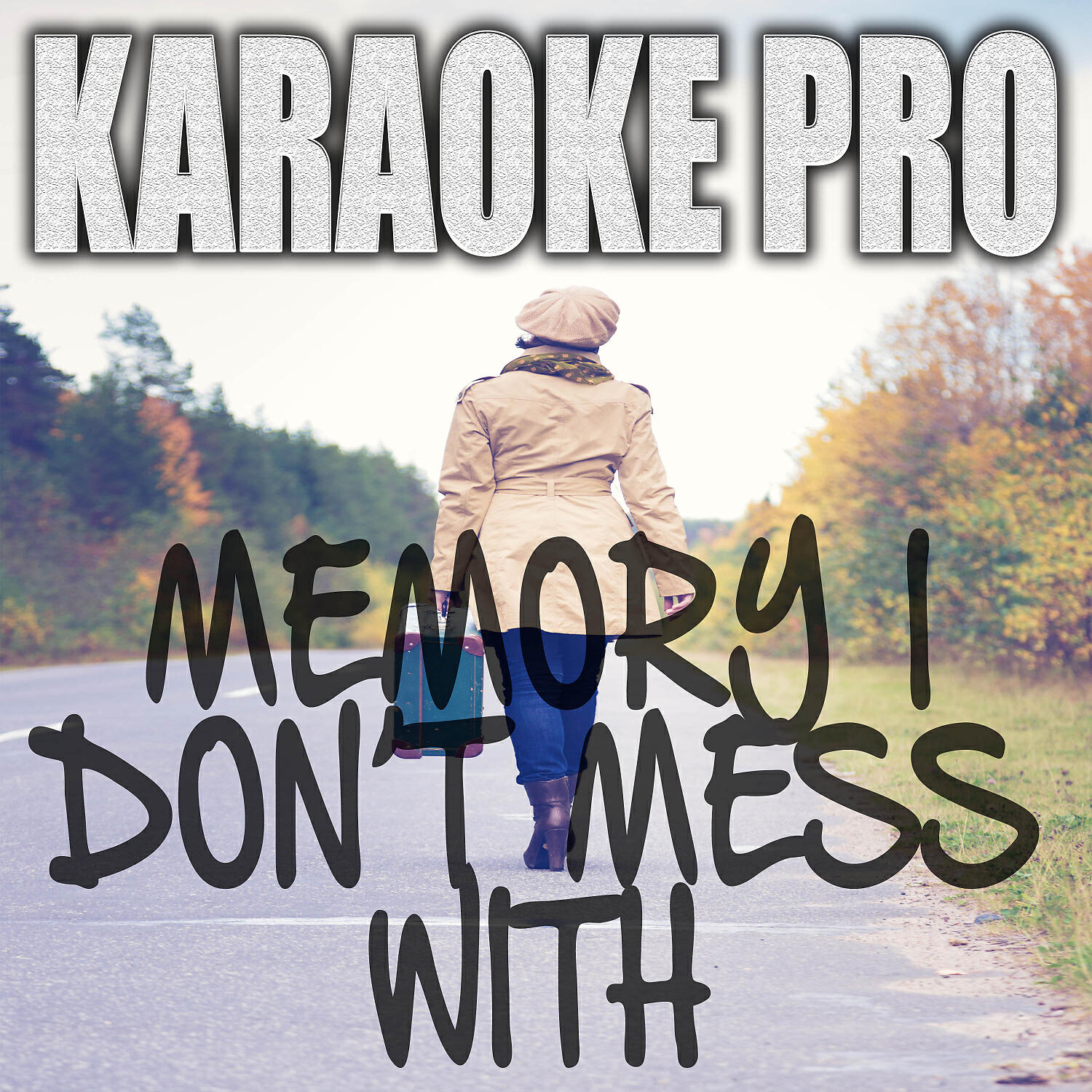 Karaoke Pro - Memory I Don't Mess With (Originally Performed by Lee Brice) (Karaoke Version)