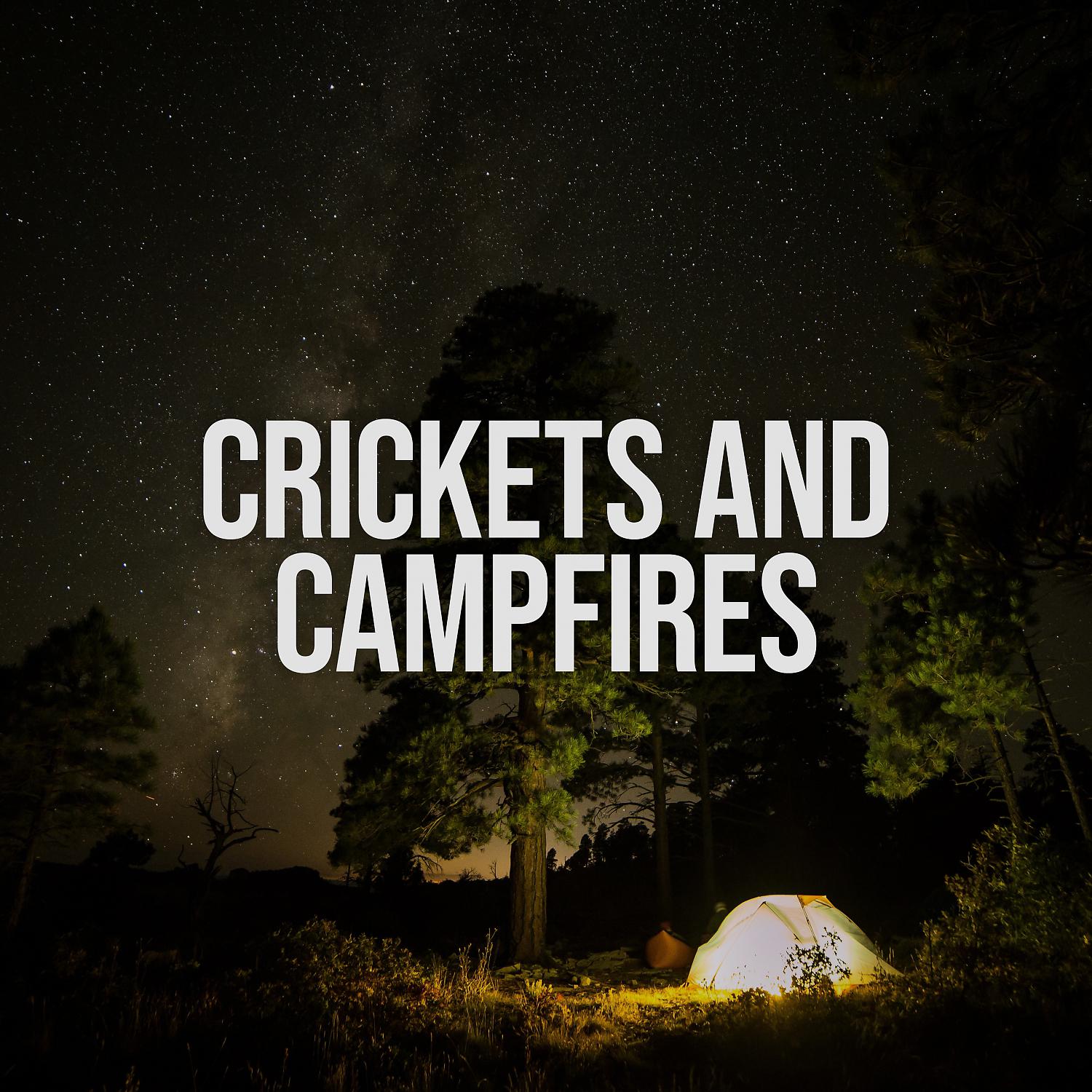 Постер альбома Crickets and Campfires