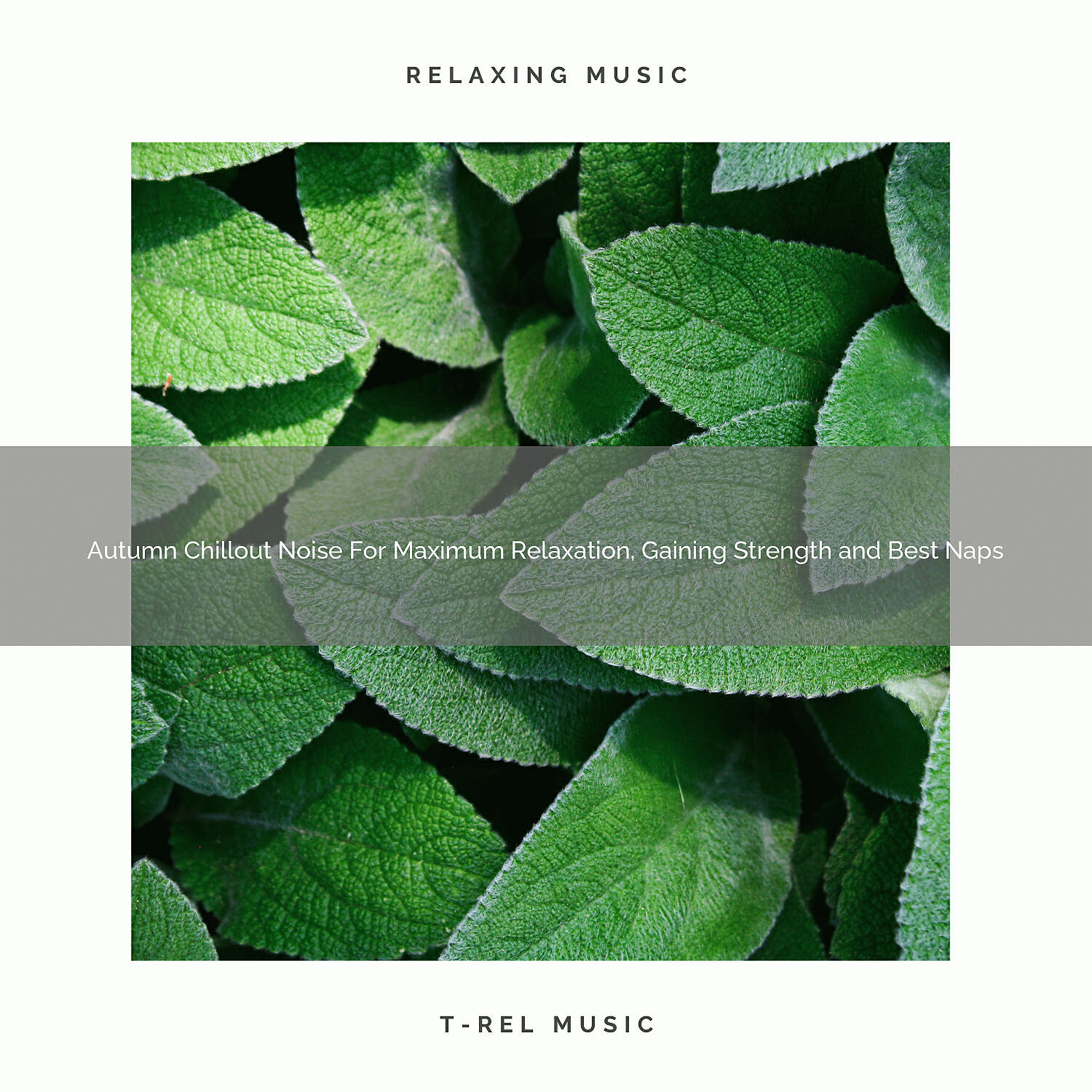 White Noise Meditation - Autumn Pink Vibes For Total Relax, Deep Sleep and Delicious Dreams