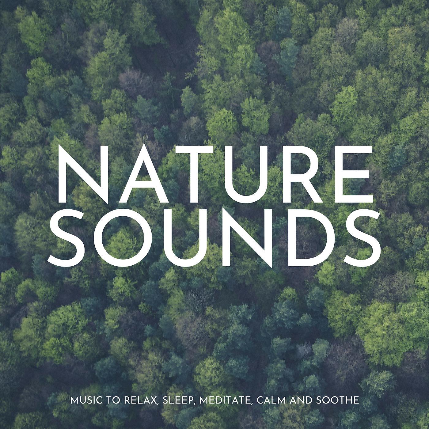 Постер альбома Nature Sounds: Music to Relax, Sleep, Meditate, Calm and Soothe