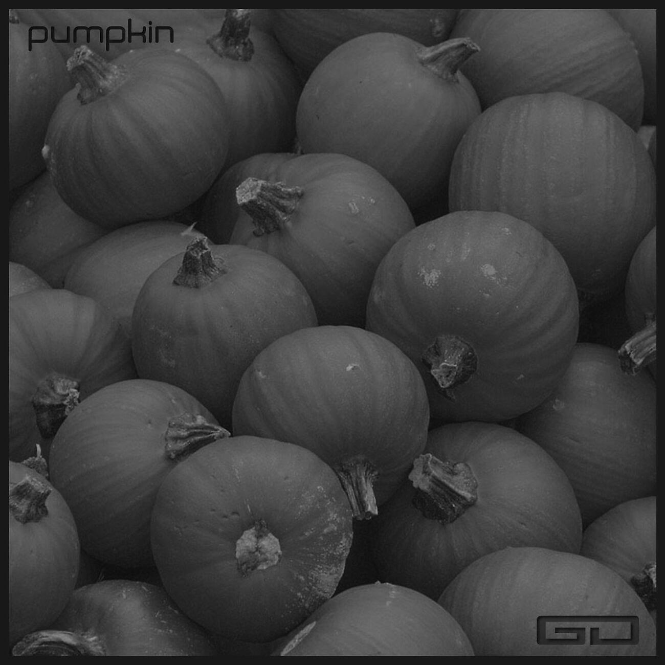 The Badgers - Pumpkin (Dan Gessulli Remix)