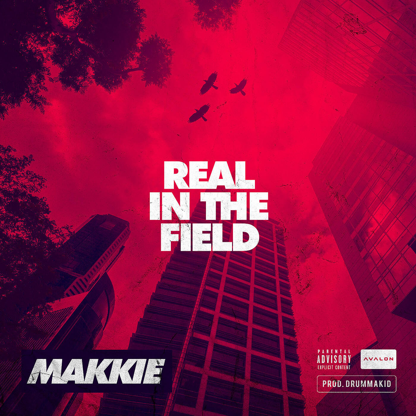 Makkie - Real in the Field
