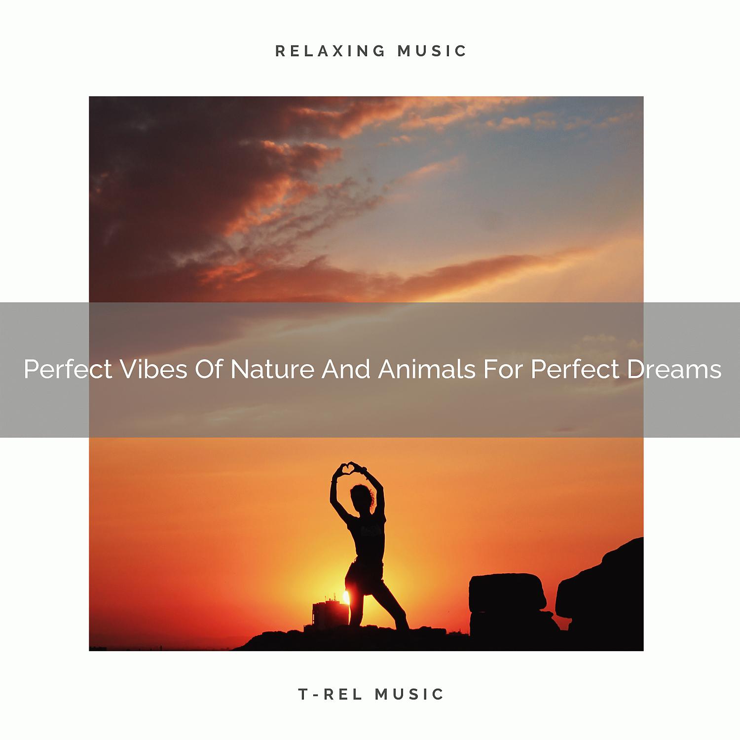 Постер альбома Perfect Vibes Of Nature And Animals For Perfect Dreams