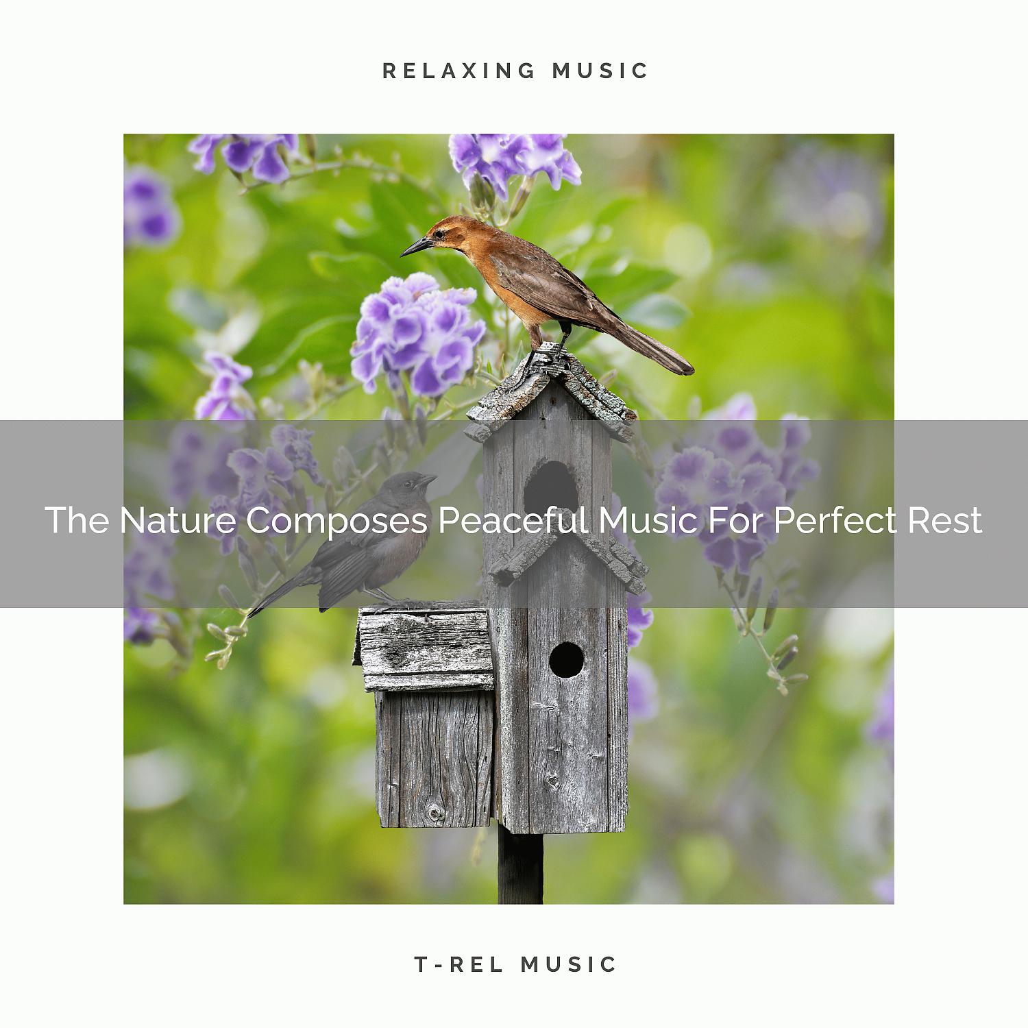 Постер альбома The Nature Composes Peaceful Music For Perfect Rest