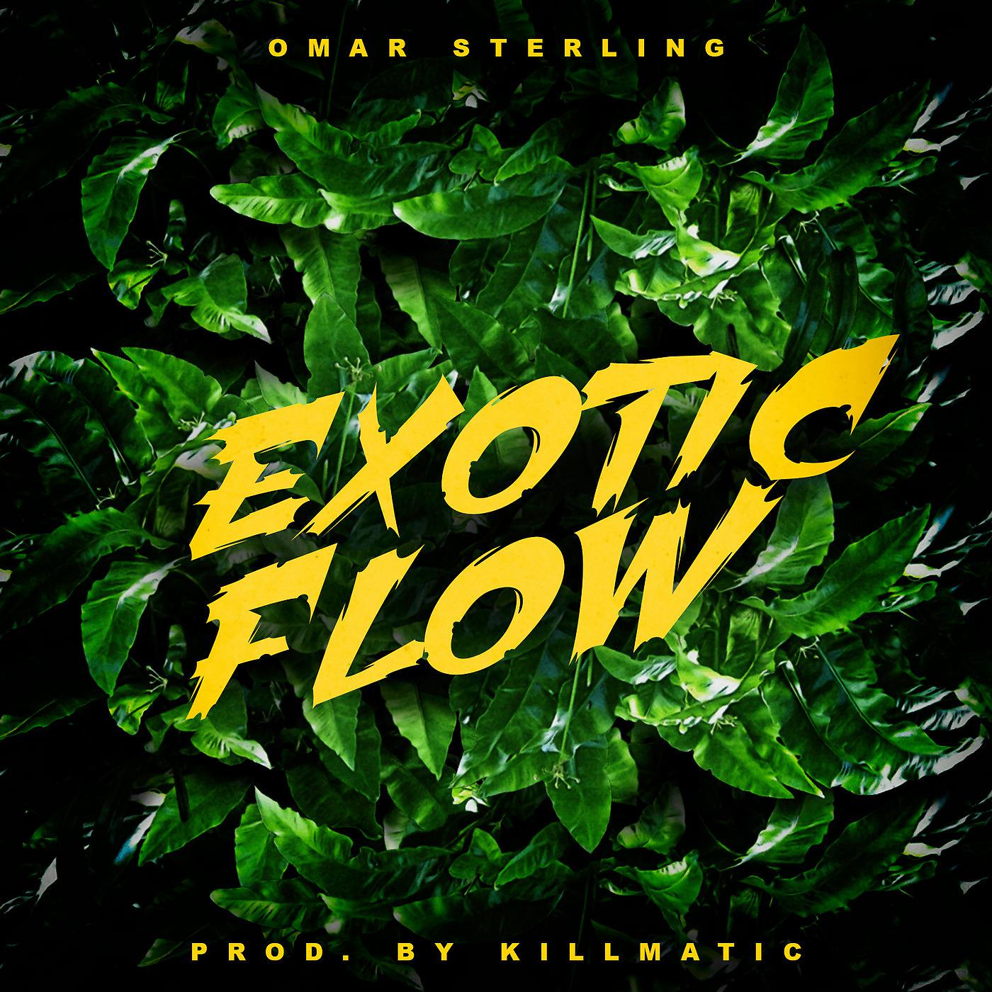 Постер альбома Exotic Flow