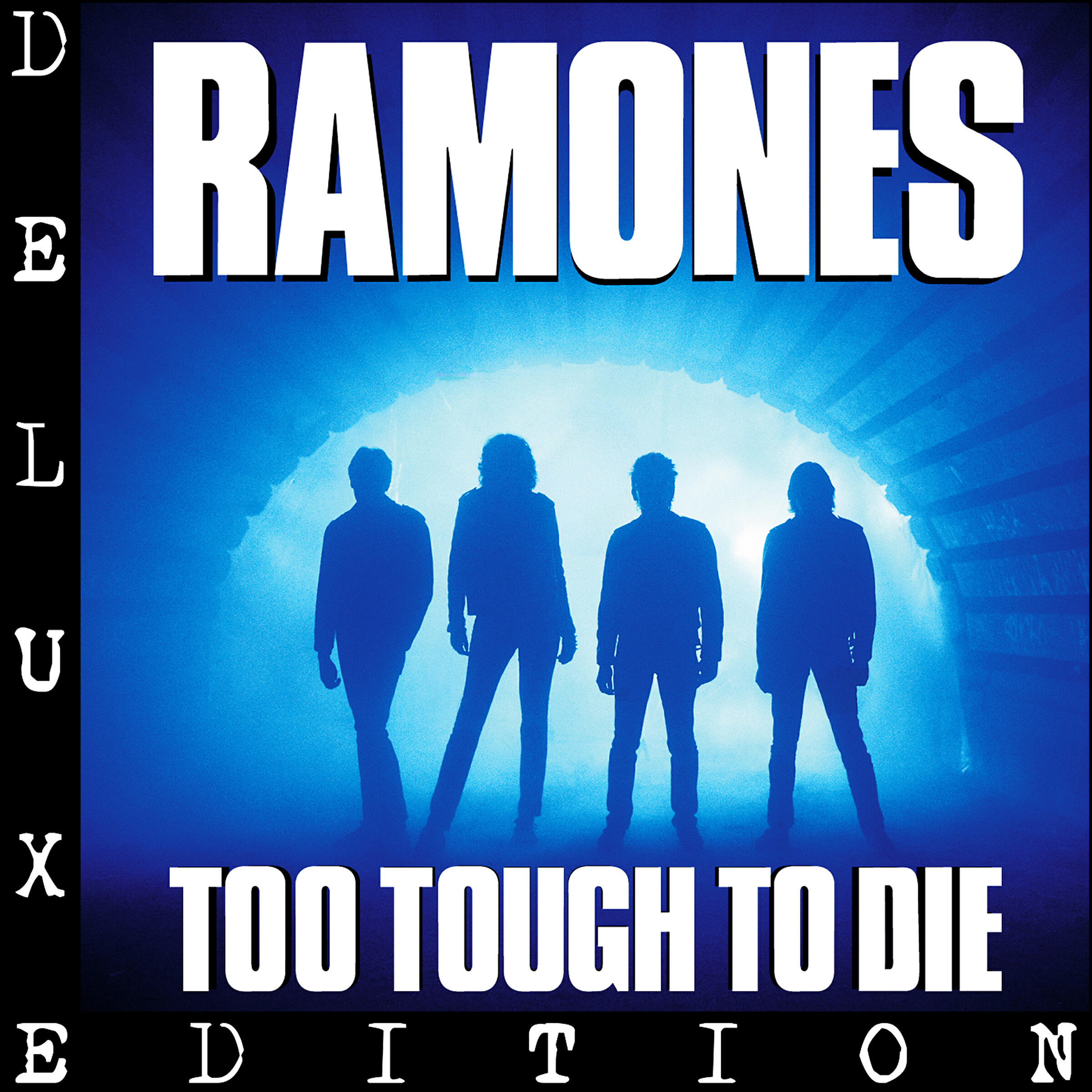 RAMONES - Daytime Dilemma (Dangers of Love) [Demo]