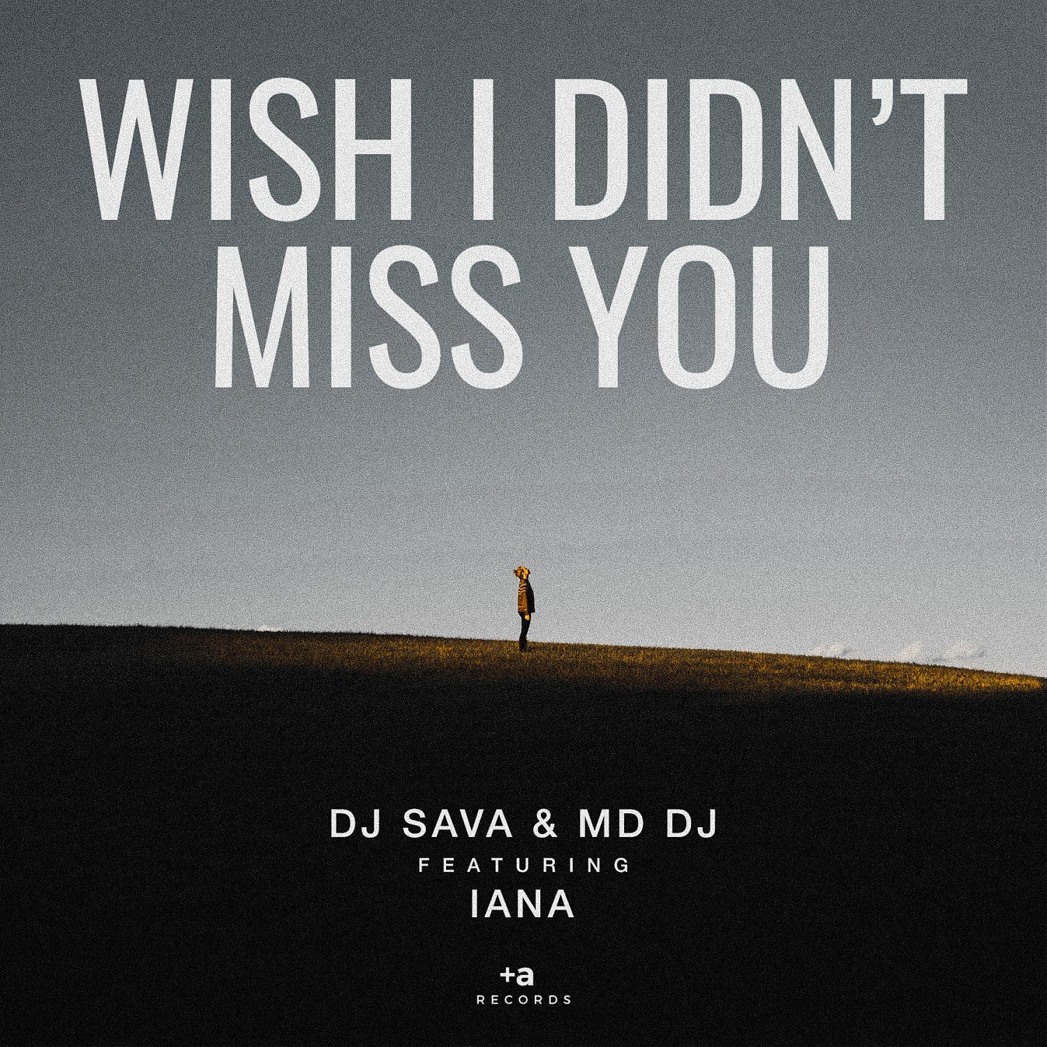 Постер альбома Wish I Didn't Miss You (feat. Iana)