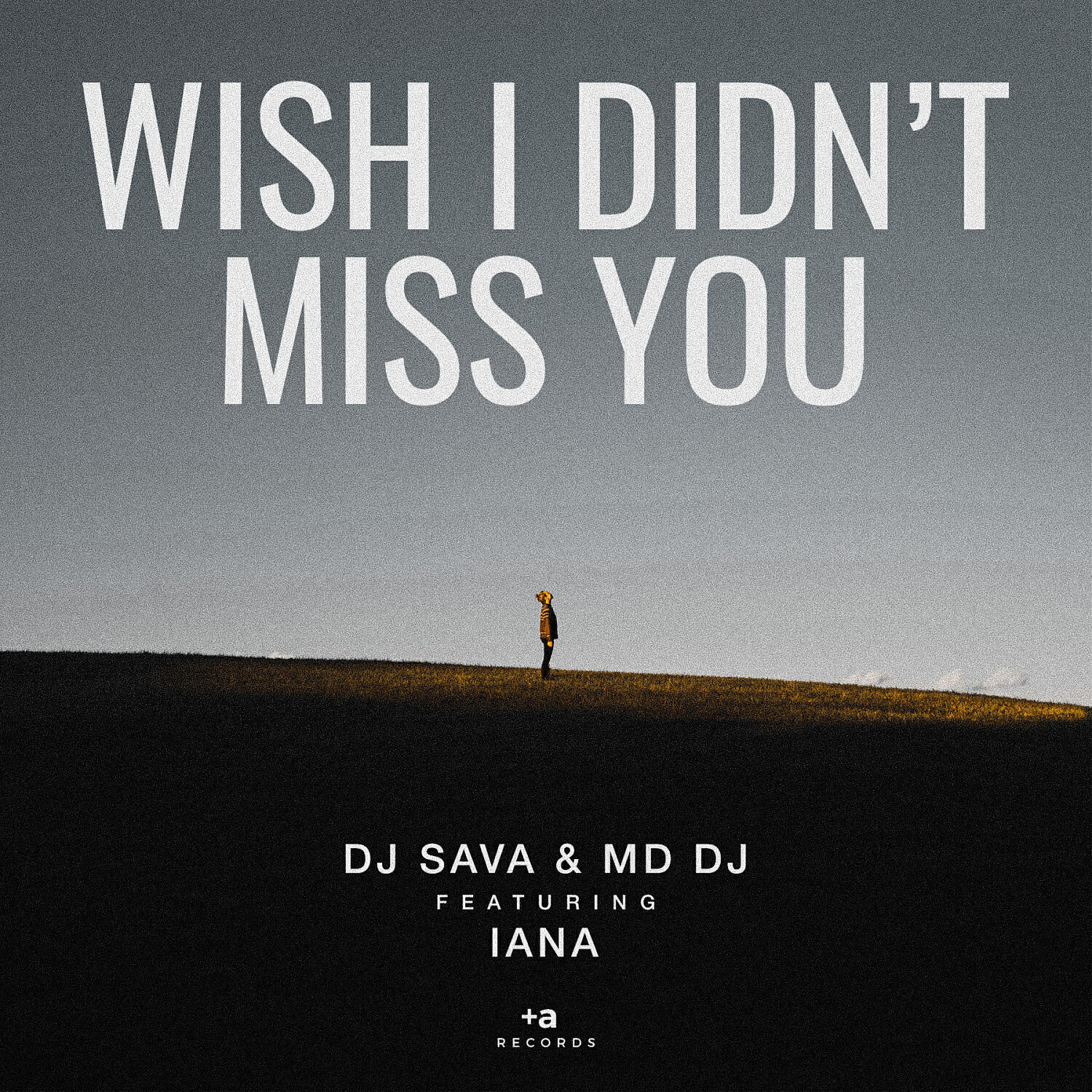 DJ SAVA - Wish I Didn't Miss You (feat. Iana) (Radio Edit)