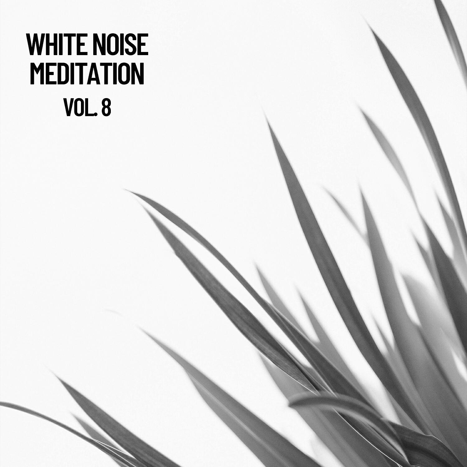 The White Noise Zen - Pink to White Noise