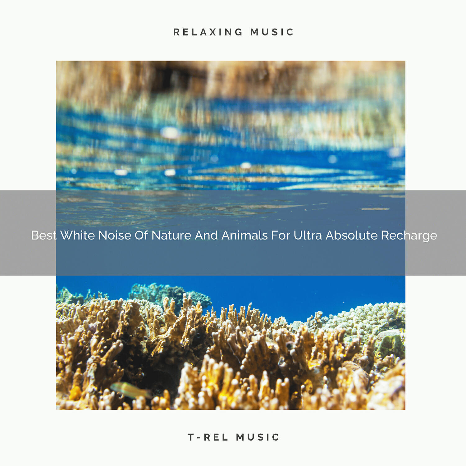 Noise Gravity - Best White Noise Of Nature And Animals For Ultra Absolute Recharge